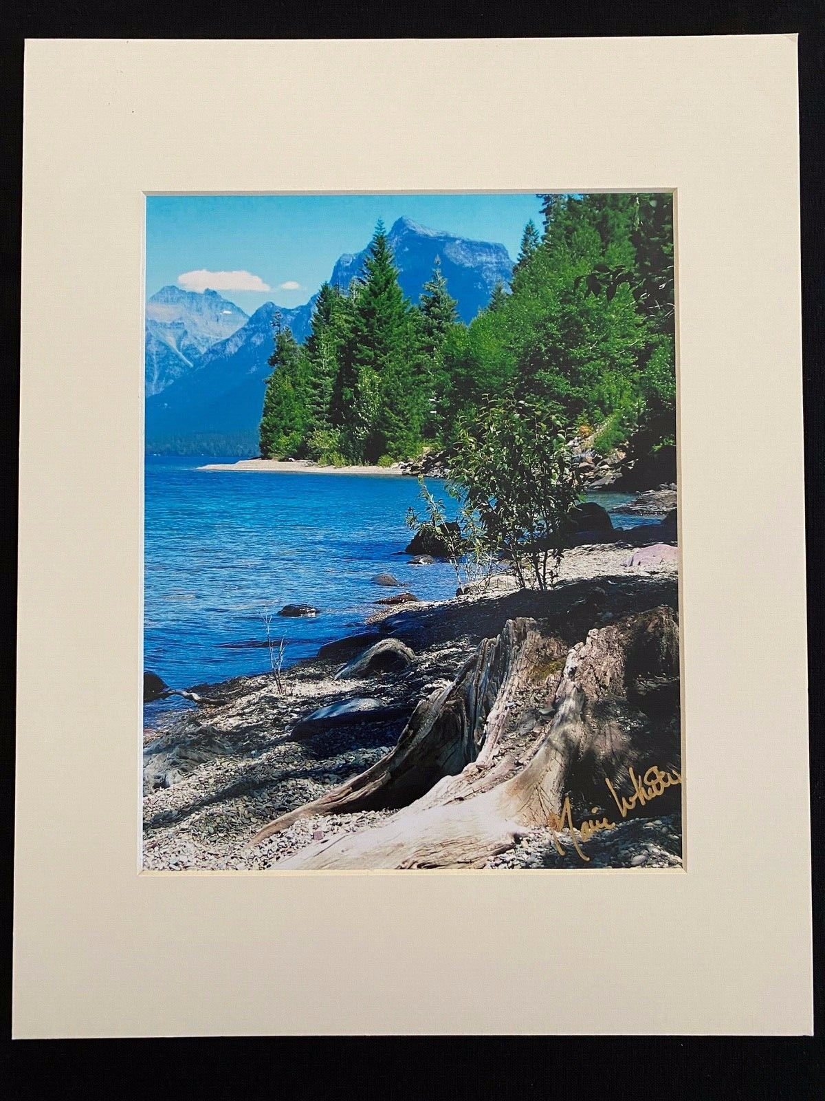 11 X 14 Matted Photo – signed by photographer Marie Whitton- Lk McDonald MT