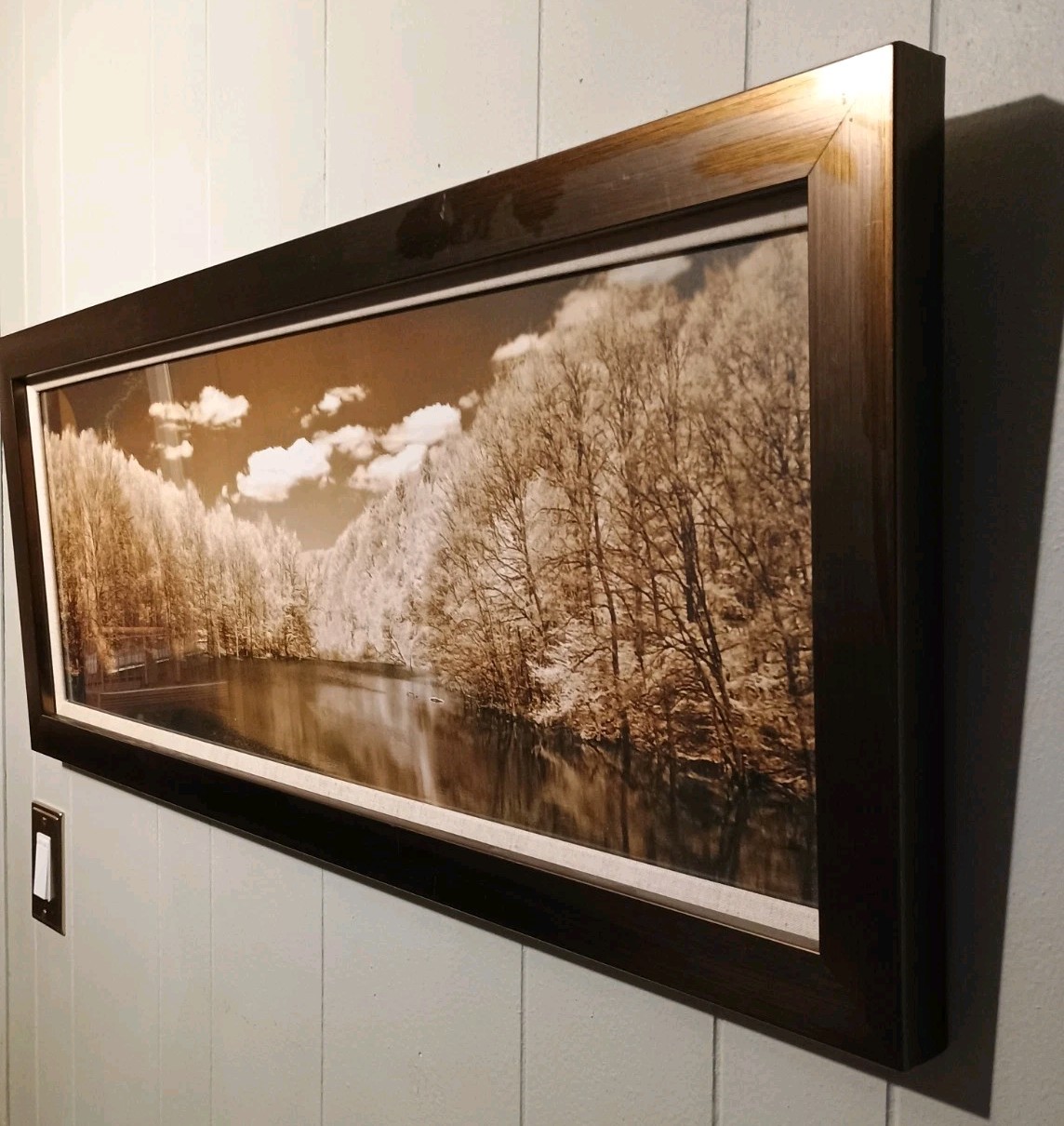 Large 15 X 39 Sepia Landscape Photograph Framed Art Minimalist Moody Monochrome