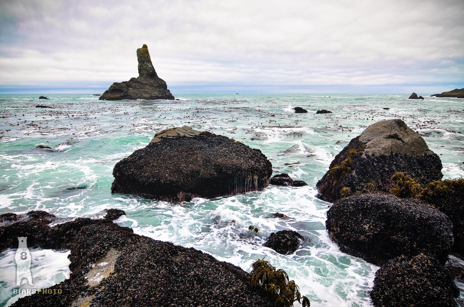 Southern Oregon Coast – Fine Art Photography Prints by Bear8Photo