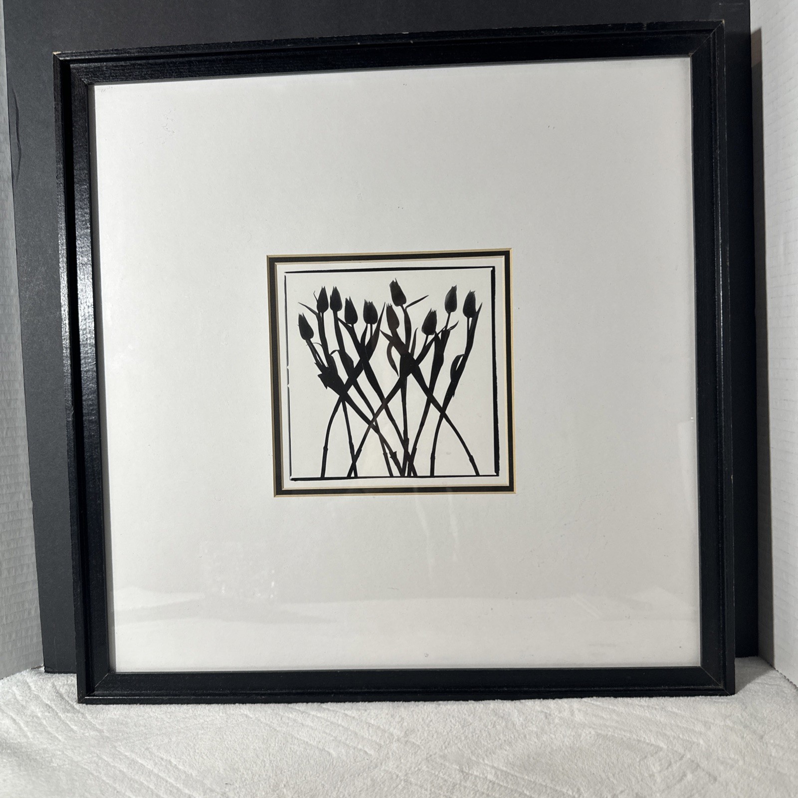 “Tulipes” by Regis D’Audeville French Photographer and Artist 1996