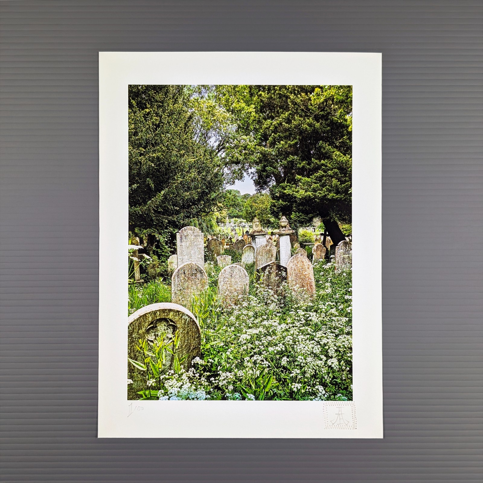 PixelPusher 9×12 Inch Archival Photography Print (Hahnemühle Paper) LD05 Park