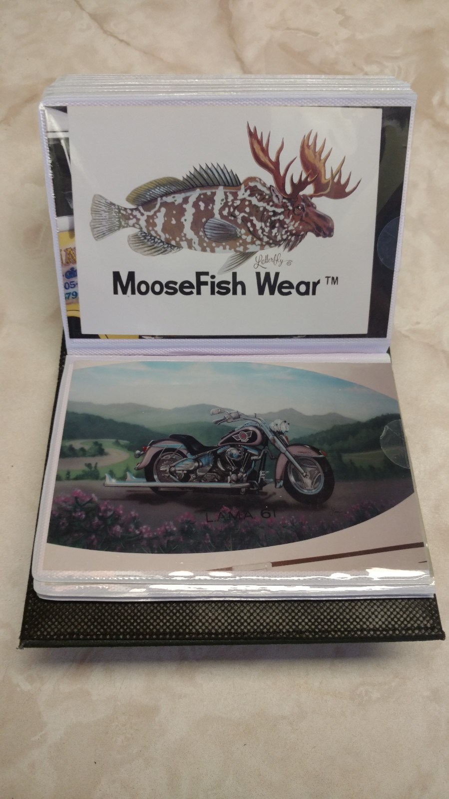 RV Art 100 Page Photo Album Portfolio Pinstriping Motorhome Airbrush Murals Gift