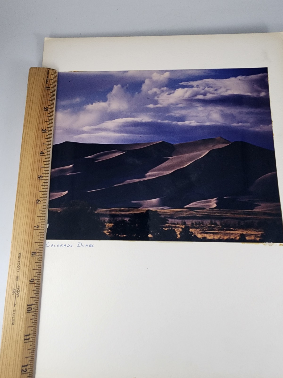 Photo Sand Dunes 1963 Chicago International Exhibition of Photography Art Lake