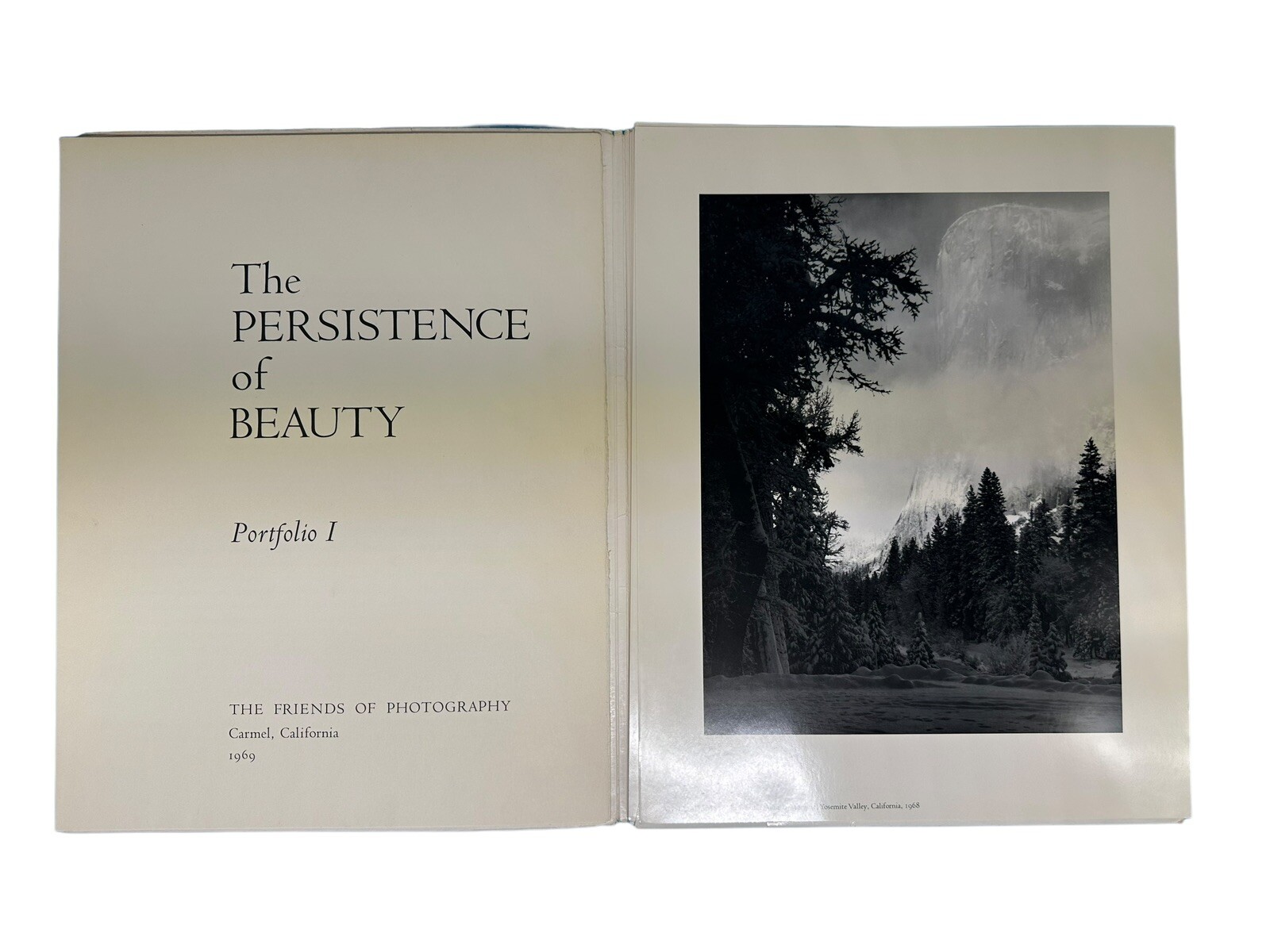 Persistence of Beauty Portfolio 1 The Friends of Photography / JLG
