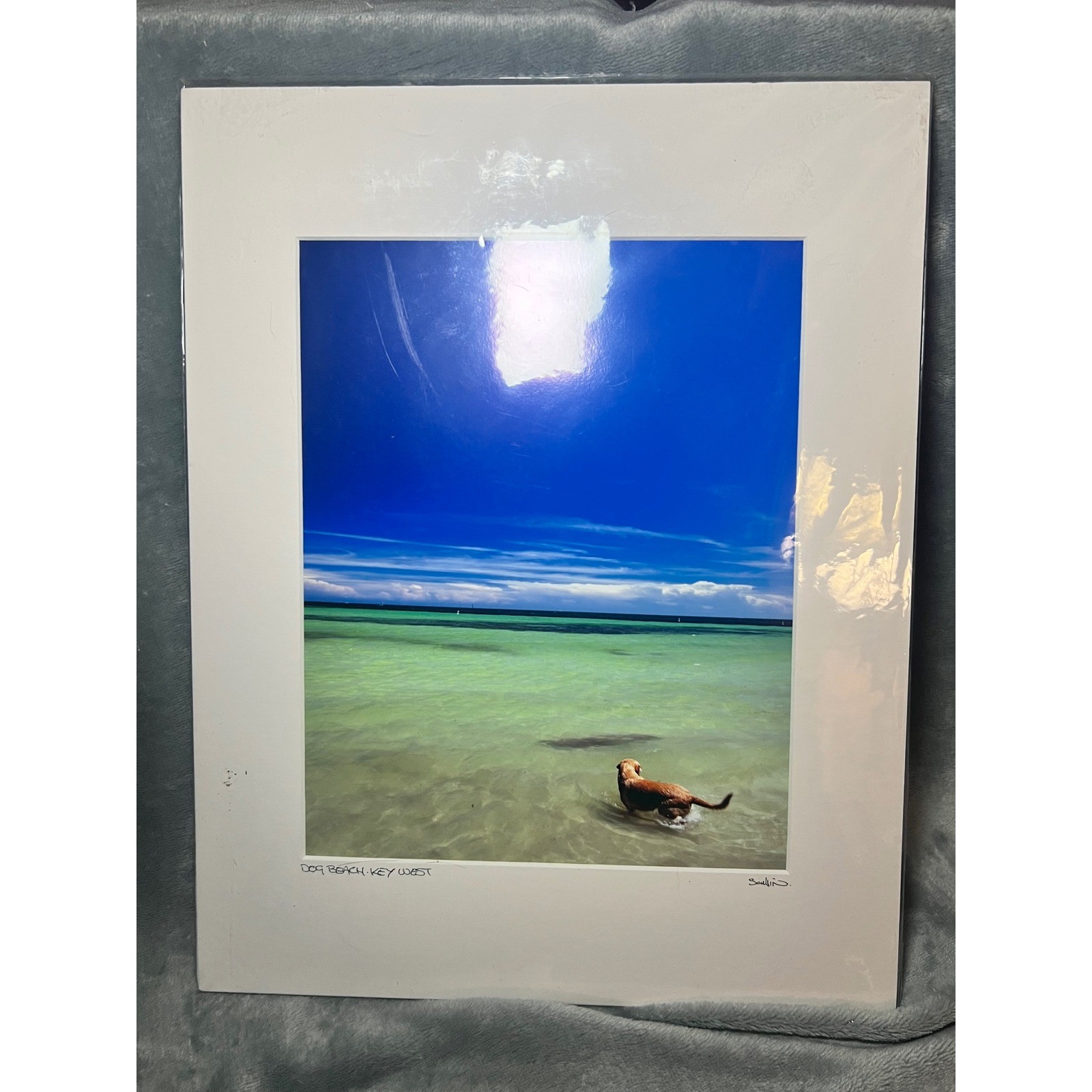 Tony Scullin Dog Beach Key West Photo Print Signed Coastal Art Matted 16×20