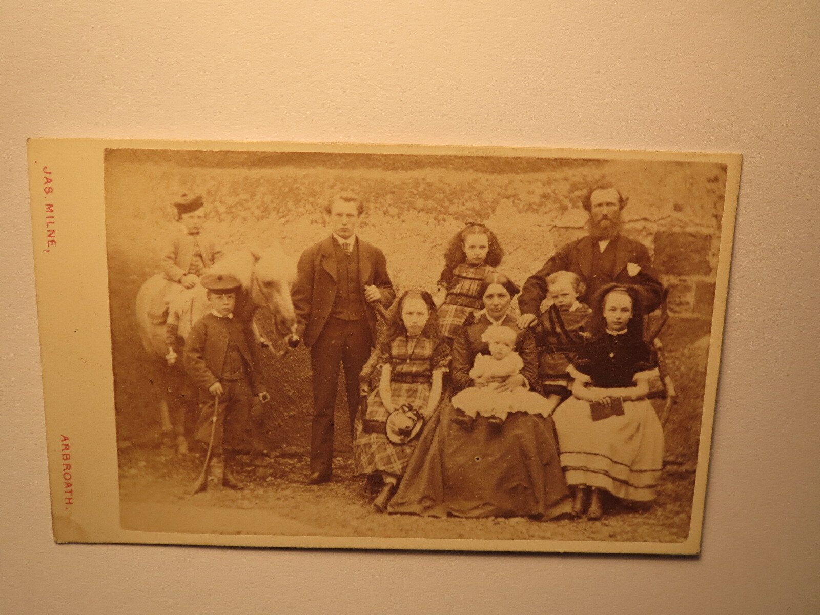 Swan Family – Woman Men Kids Boy Girl Horse / CDV James Milne Arbroath