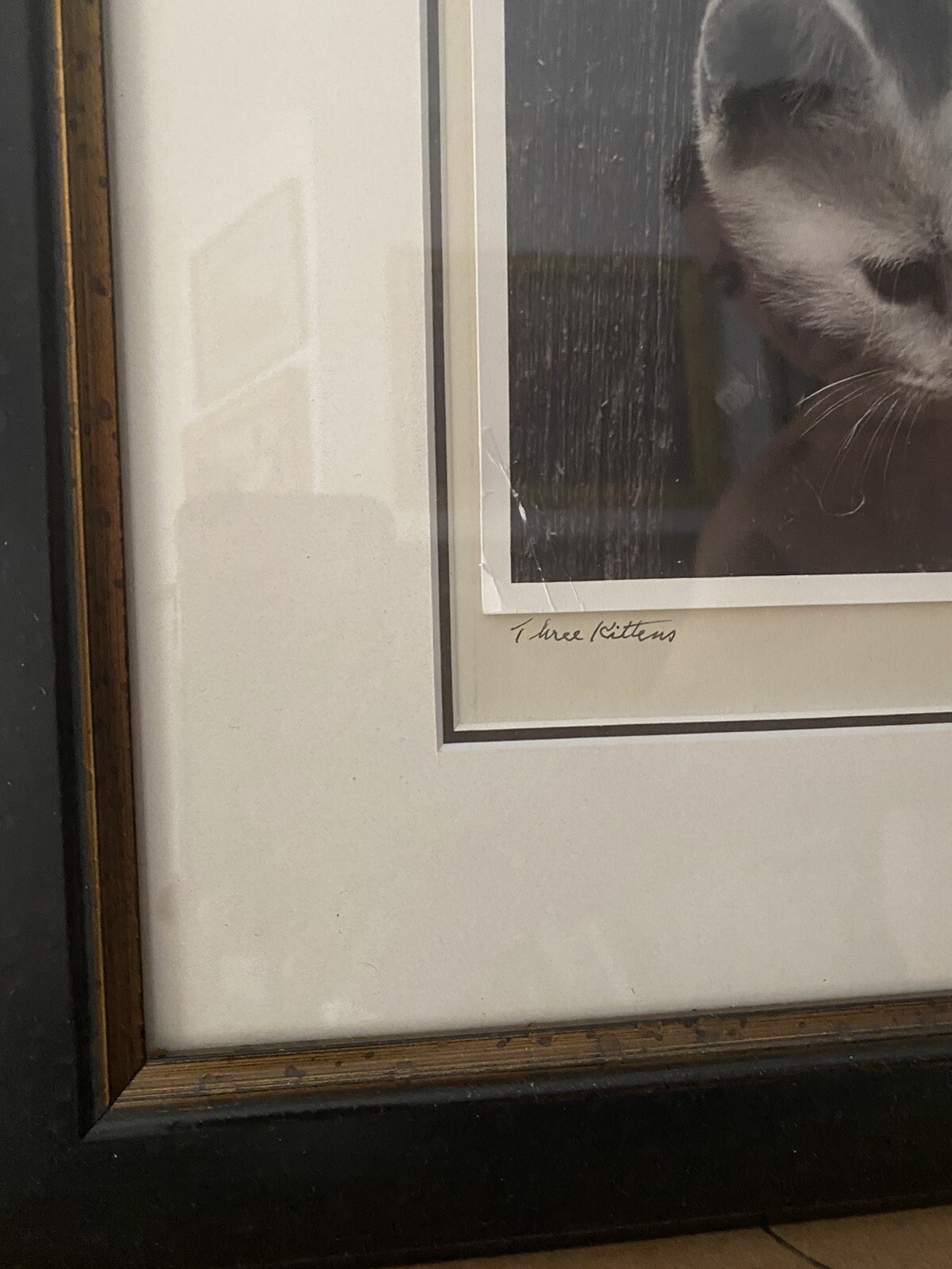 A. Aubrey Bodine American Silver Gelatin Photo Exhibited Maryland Baltimore