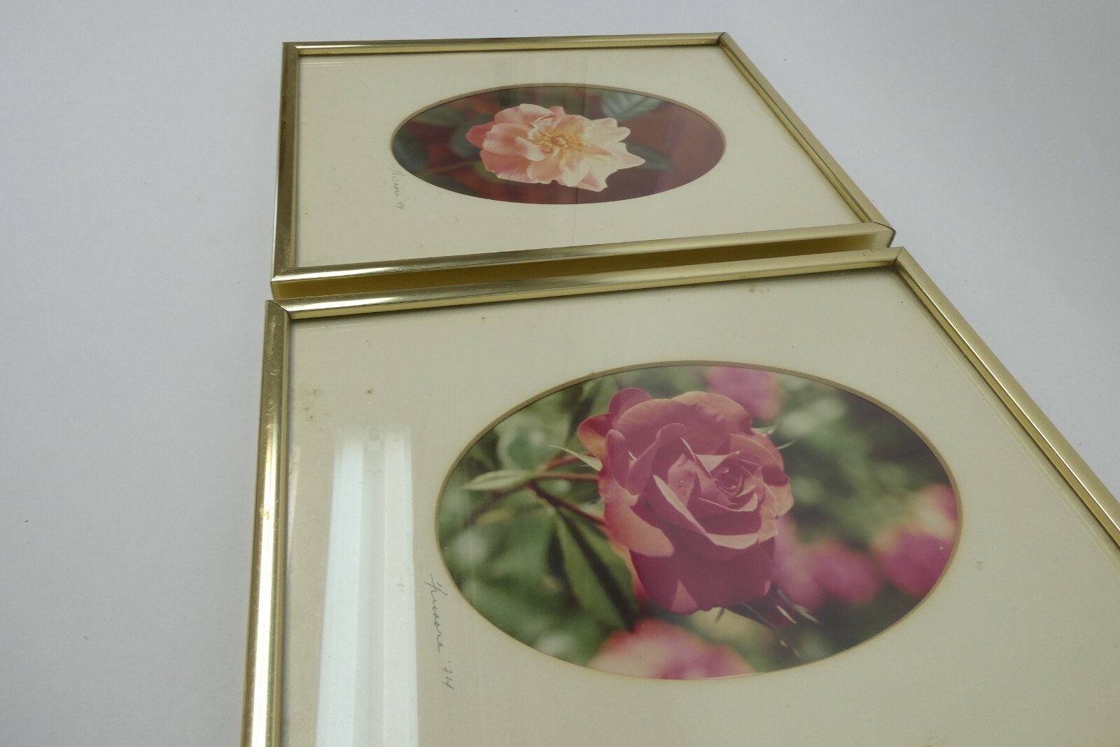 Signed 1974 Gold Framed Matted Flower Floral Photographs Pink Rose Photos Decor