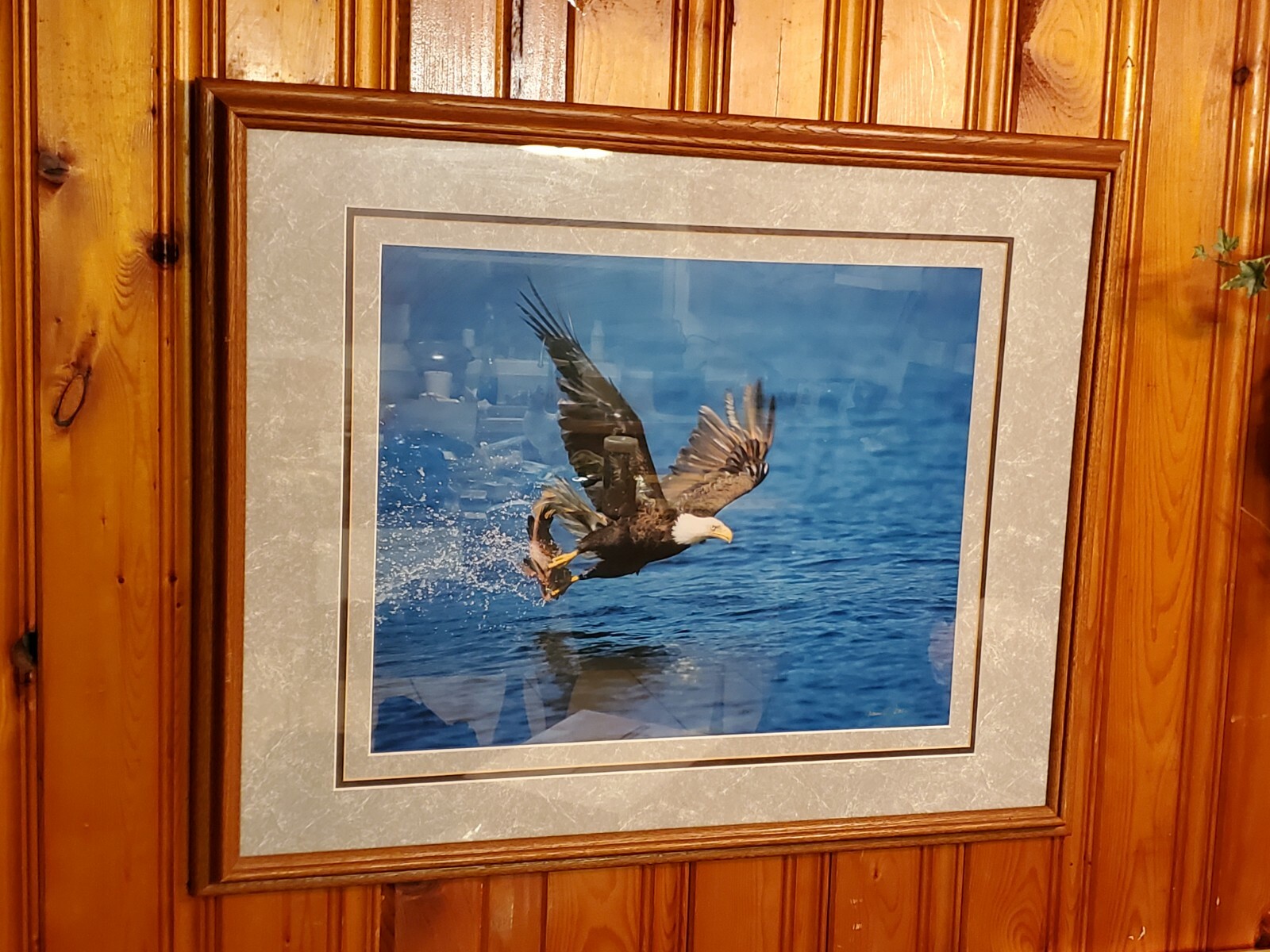 Millcreek Wildlife Reflections Eagle Photo Hand Signed Framed 19 3/4×16″ 24″x30″