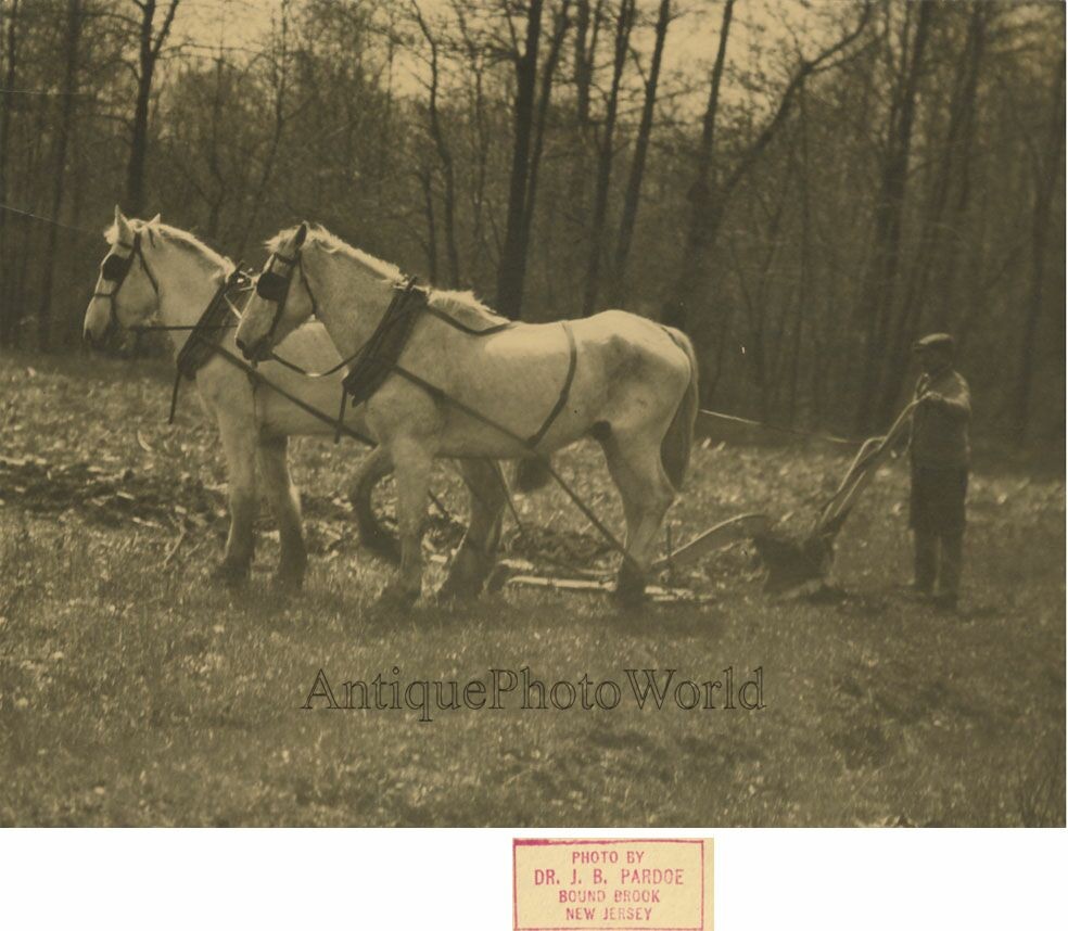 Man plowing on draft horses farming antique art photo by Jonathan B. Pardoe