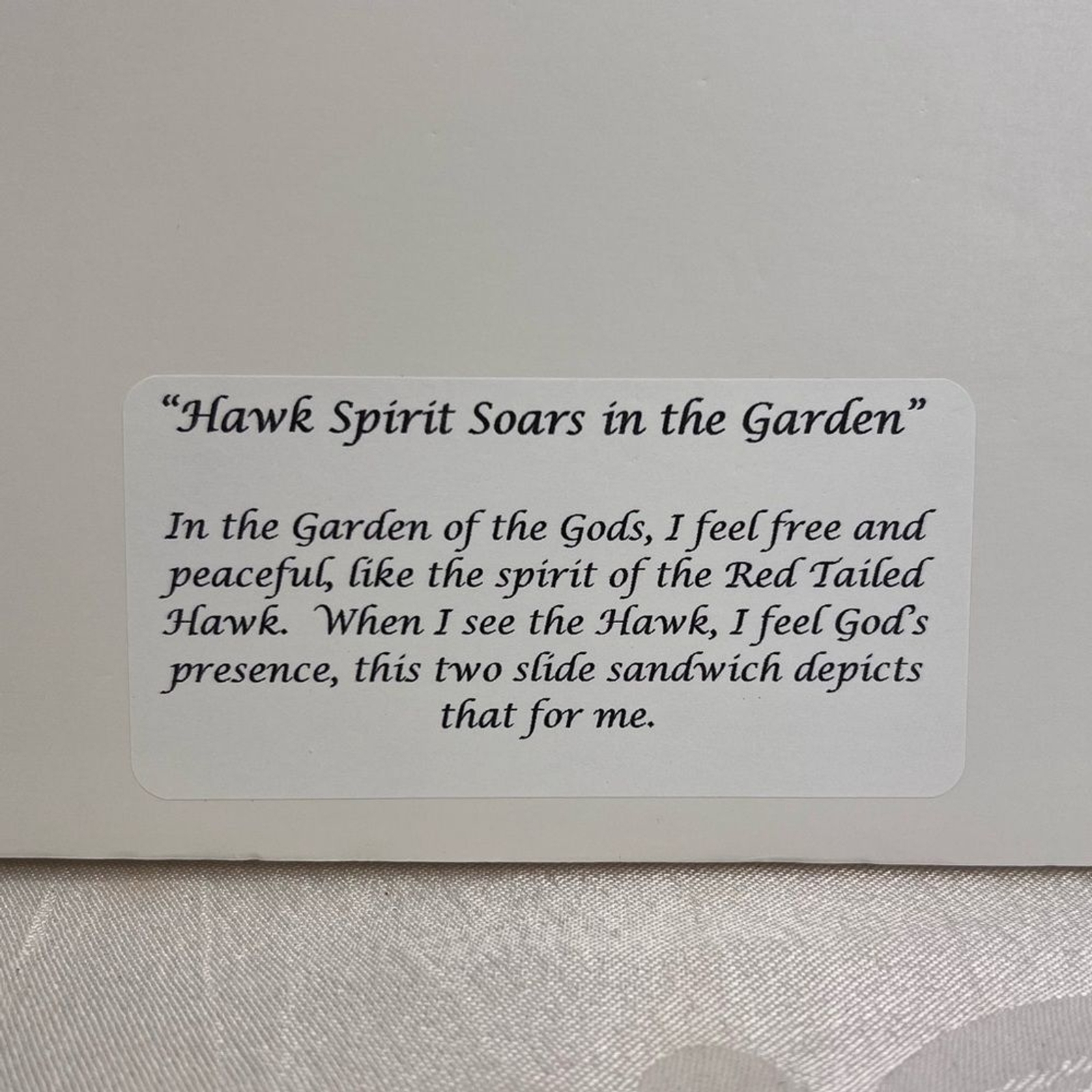 Debbie Yarra Nature’s Light Photography Print Hawk Spirit Soars in the Garden