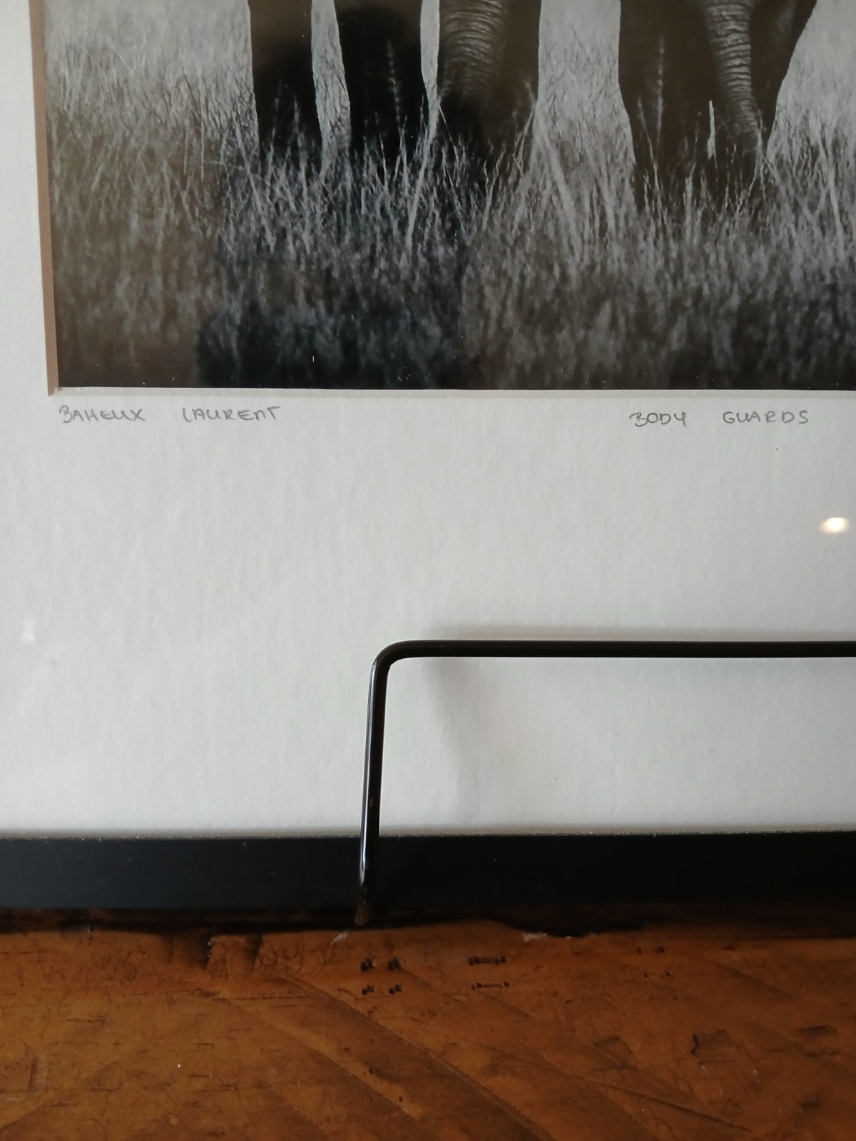 Laurent Baheux “Body Guards”Framed Limited Edition Art Photograph | YellowKorner