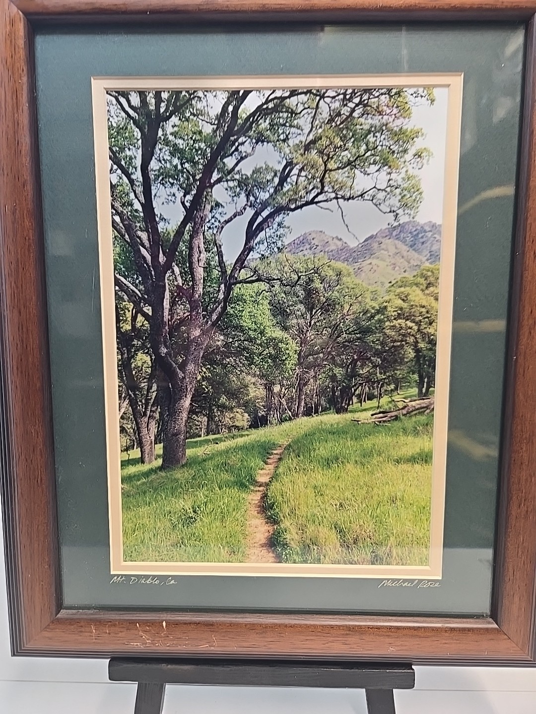 Mt Diablo CA Signed Photo “A Walk in the Woods” Michael Rose Framed 16.5×13.5