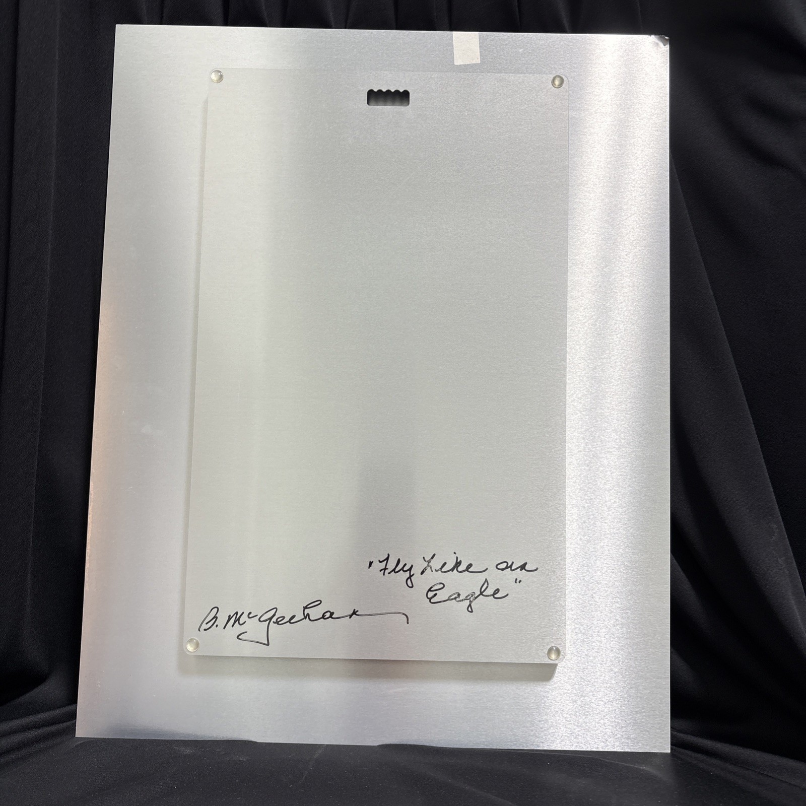 Betty McGeehan “Fly Like an Eagle” Signed Metal Photograph on Aluminum (C)