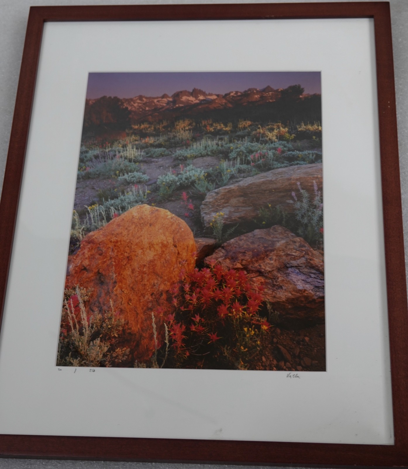 ARTIST VERN CLEVENGER 30/250 INDIAN PAINTBRUSH MOUNT RITTER MINARETS PHOTOGRAPH
