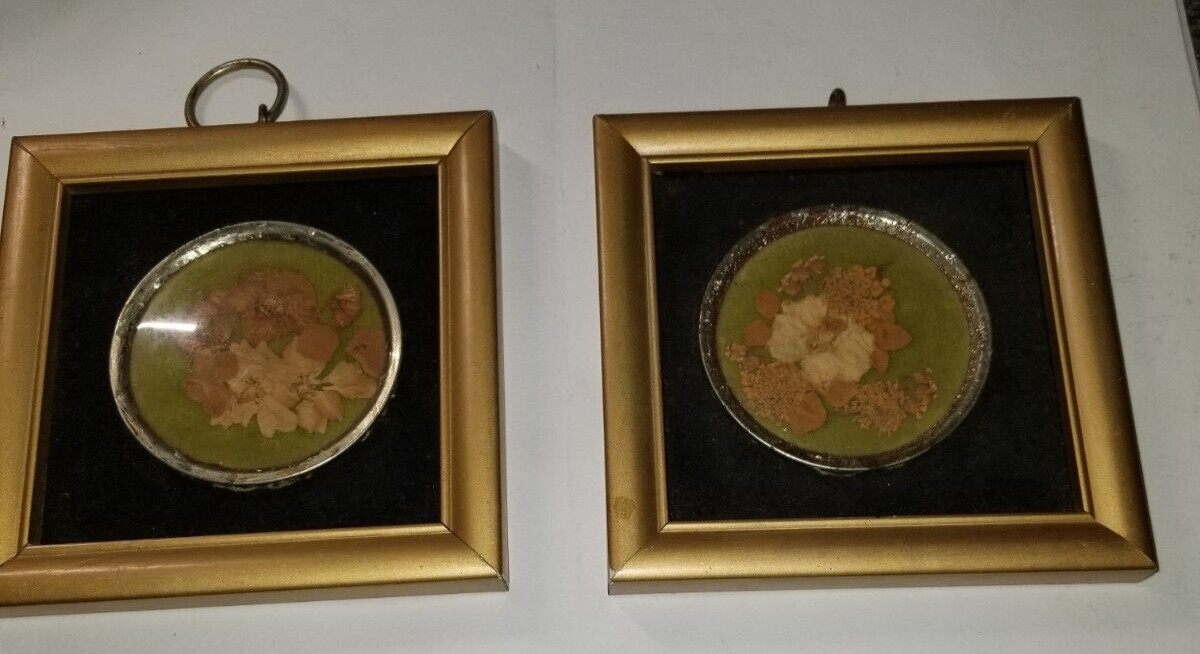 2 Real Virginia Flowers Hopkins Designs Moon Va Flowers 4.5×4.5 in