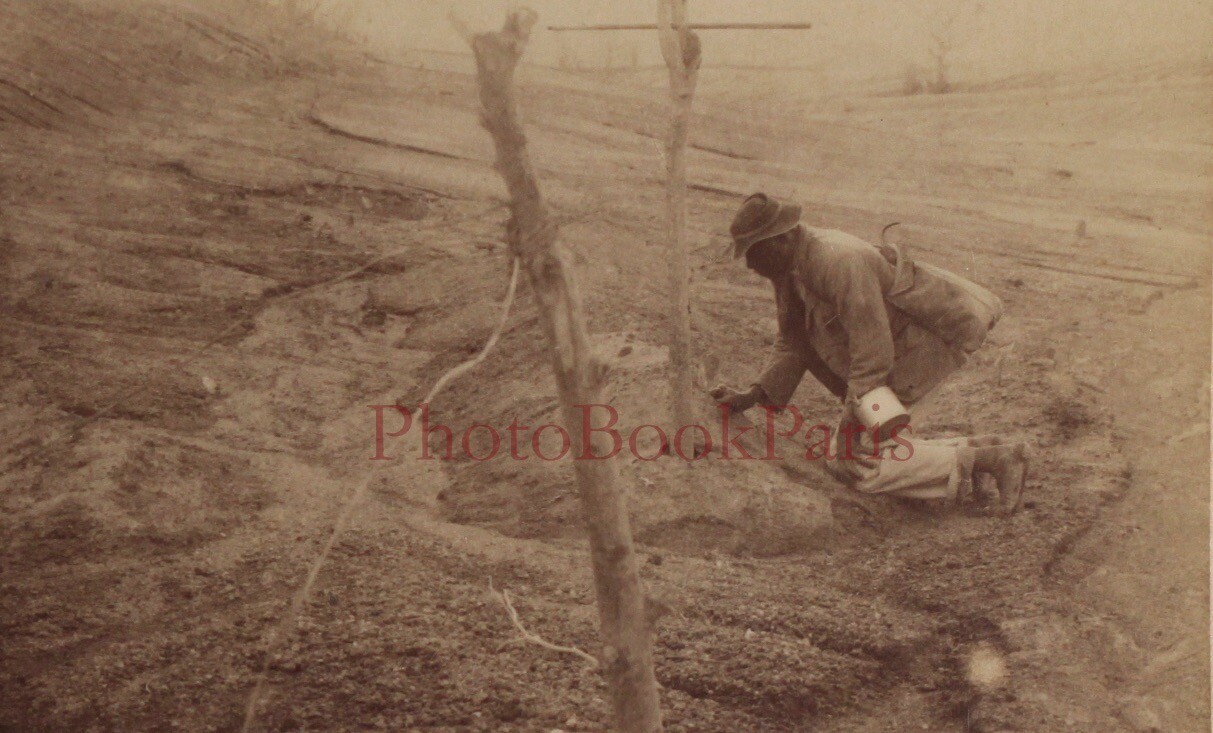 Martinique Eruption Of Volcano Pelée 1902 Stereo Photo Vintage P72L6N6