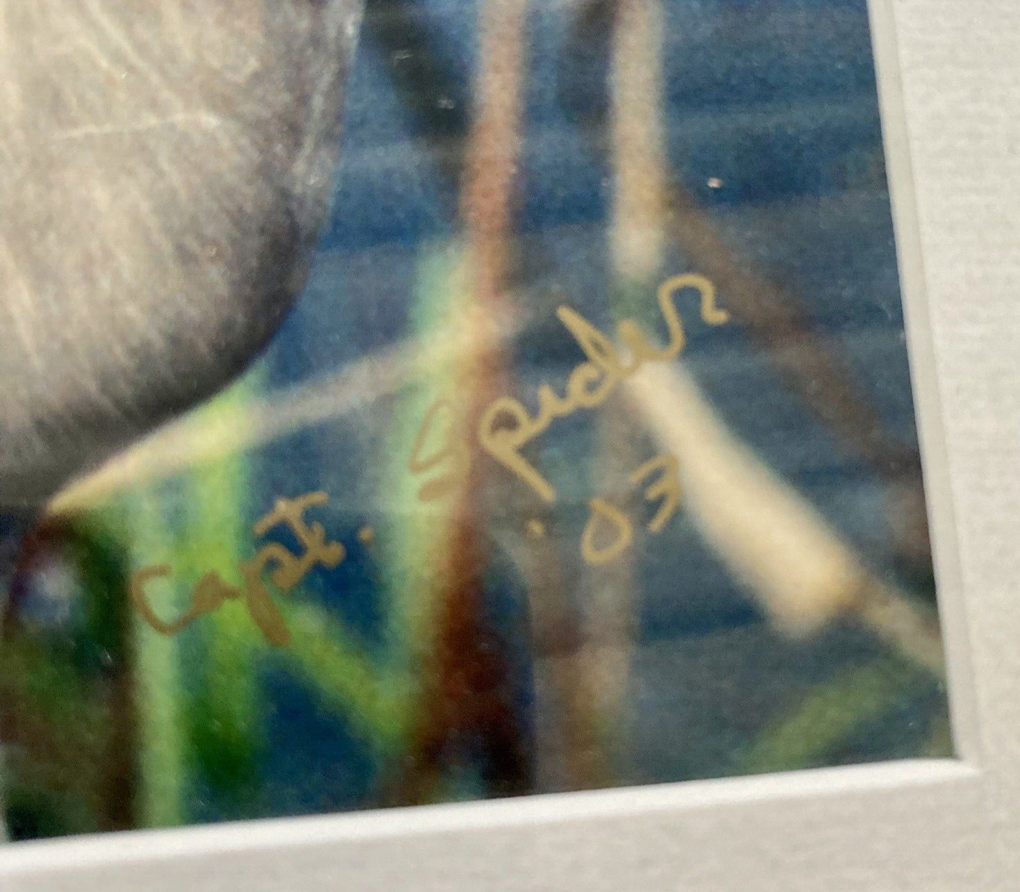 Blue Heron Framed Photograph Picture 14″ x 12″ signed by Capt Spider 2003 FL