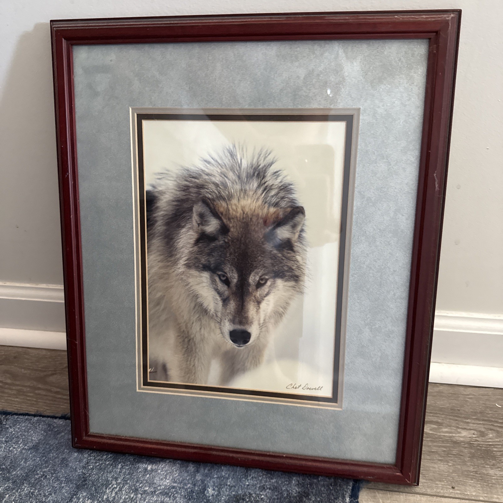 Chet Dowell Framed Wolf