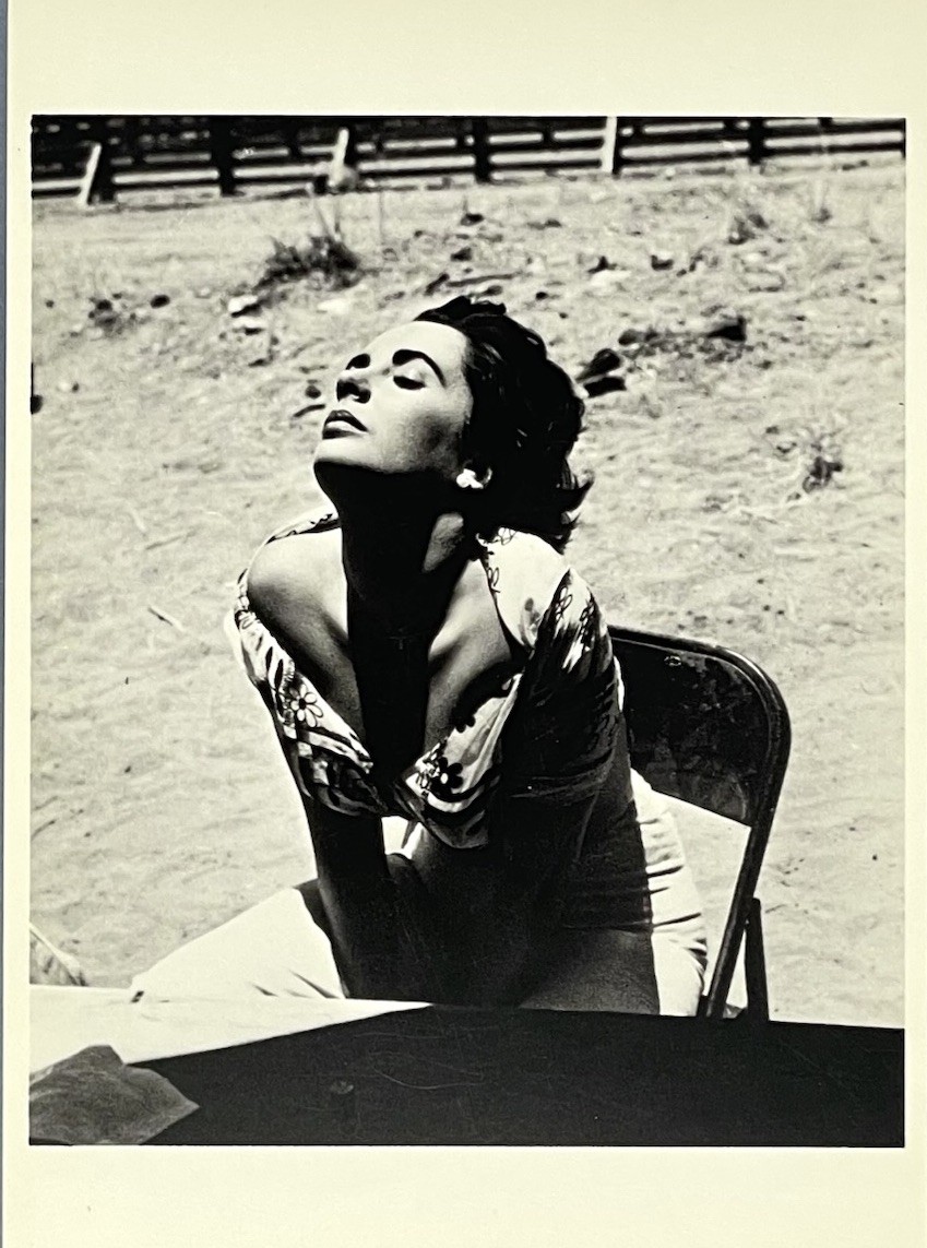 Elizabeth Taylor Art Print Card Photo By Sid Avery Fotofolio 4”x6”
