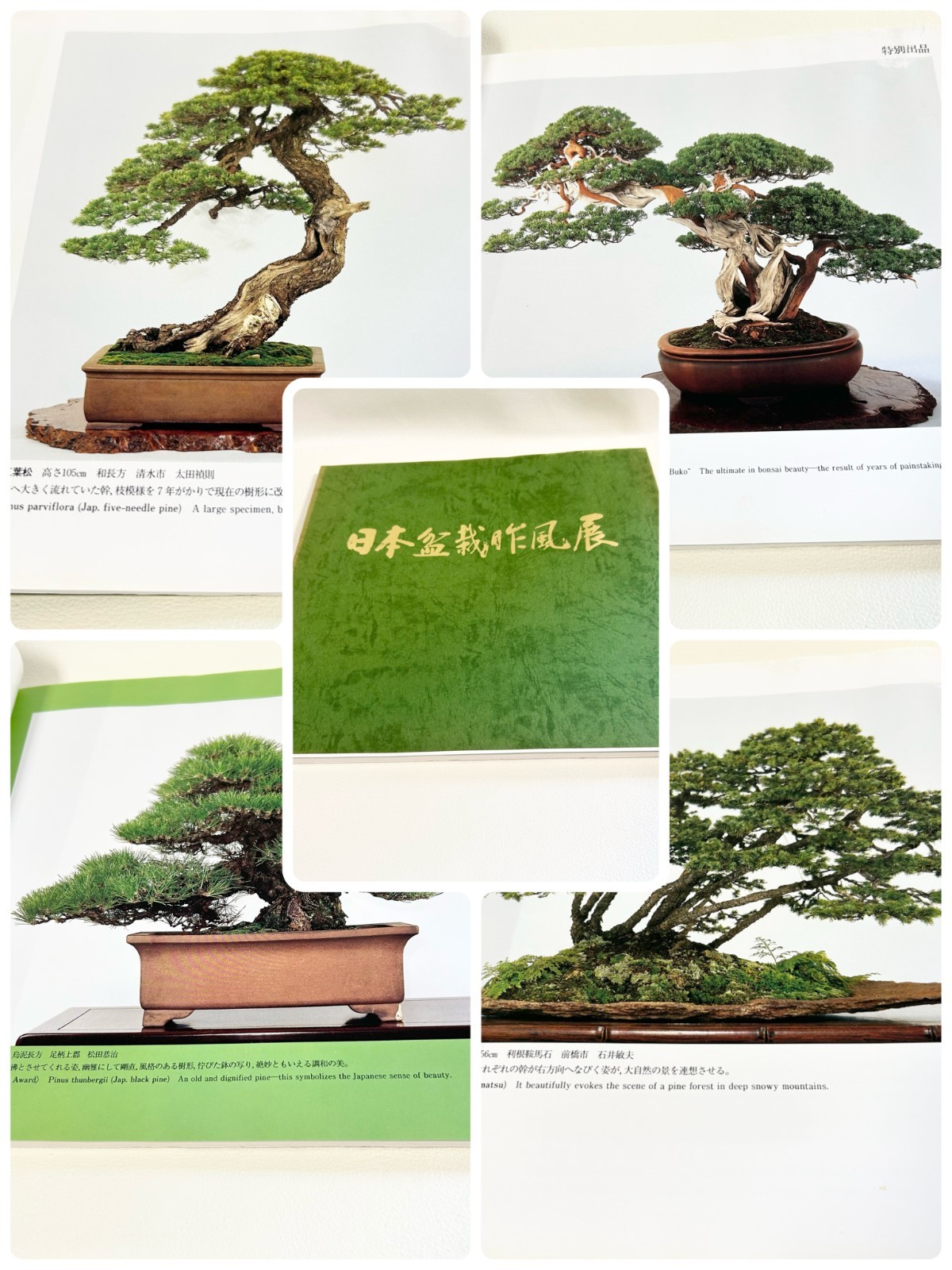 Nihon Bonsai Sakufu Ten 16th 1991 potted plant craftsmanship art Photo Book