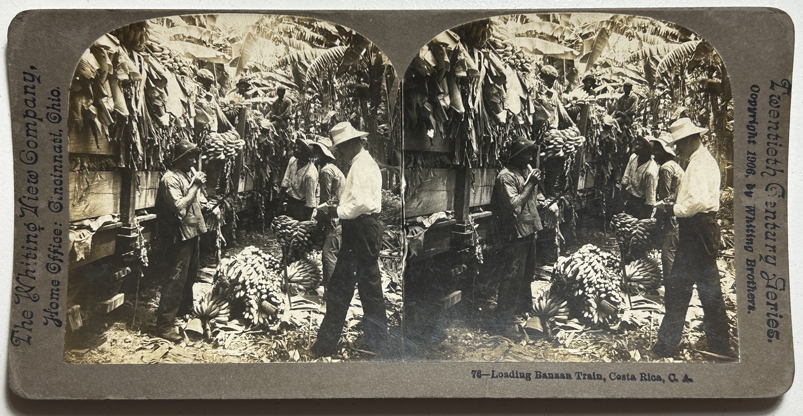 Costa Rica Unloading Des Train Banana 1906 Photo Stereo Vintage Analog