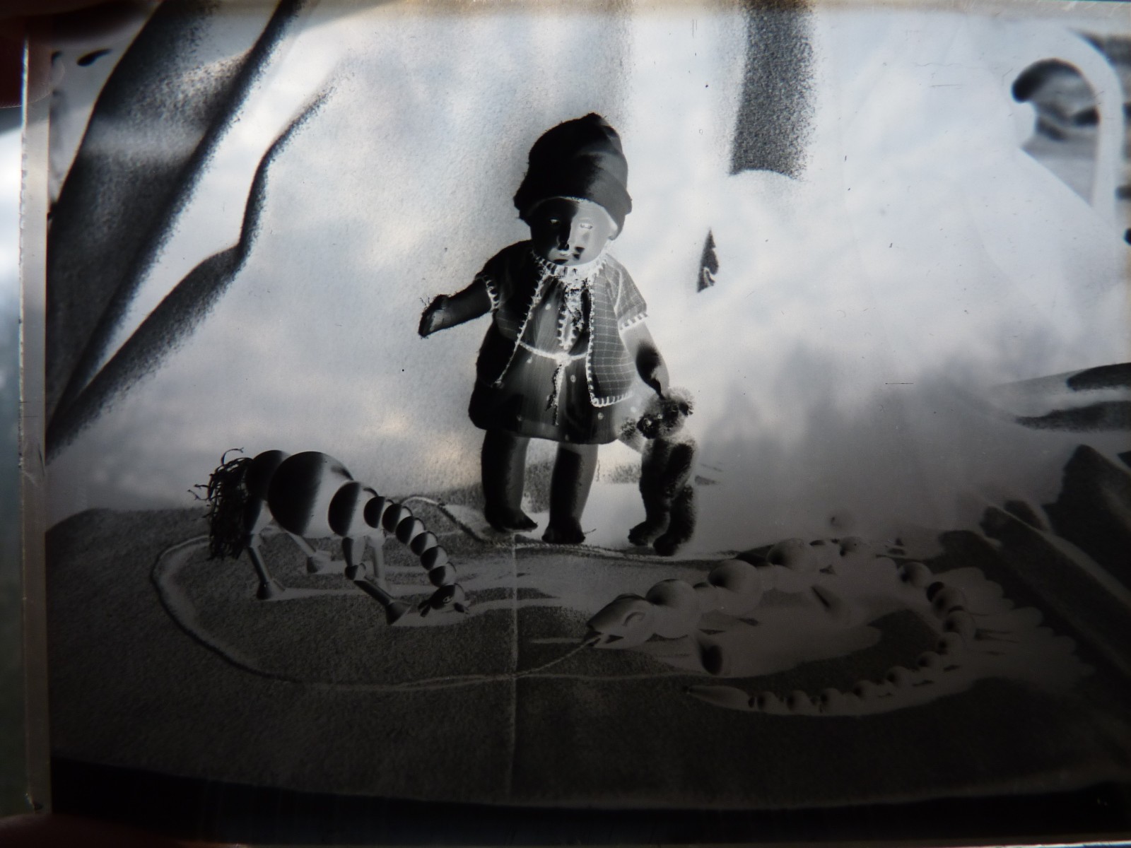 Glass Plates Negative Circa 1930 1933 Marburg Young Woman Teddy Doll Still Life