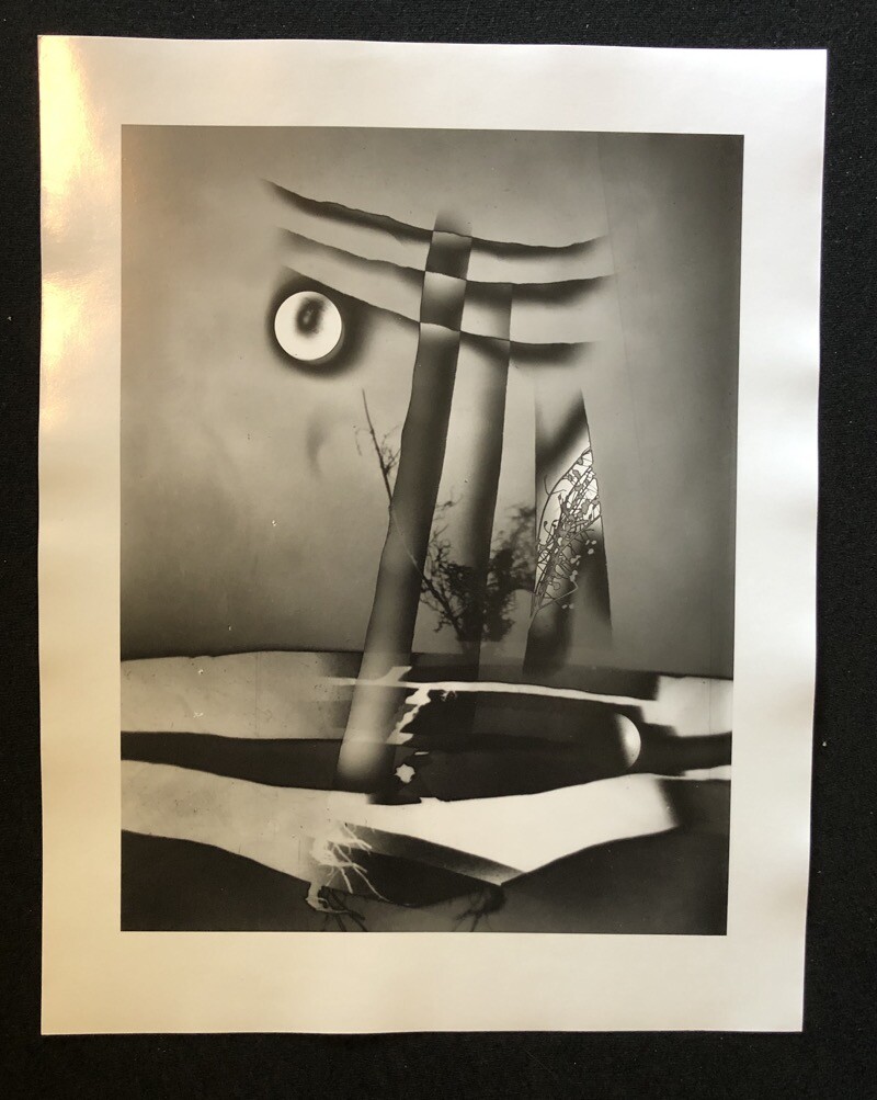 Jaroslav Rössler, abstrakte Komposition mit Blume, 1961, Pfotographie, 2009