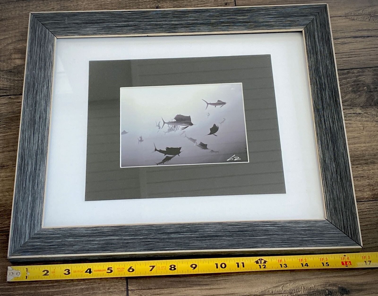 SAILFISH Baitball Signed Chris Doherty 5×7 B/W Photo | Matted & Framed 16.5×13.5