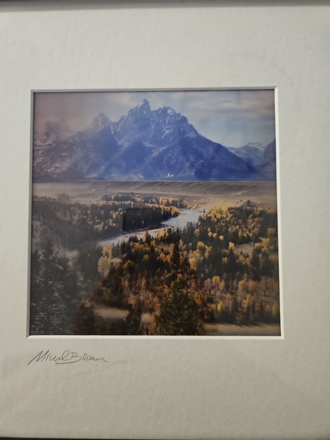 Winter / Summer 2-Phase 3D Picture Signed by Michael Brown
