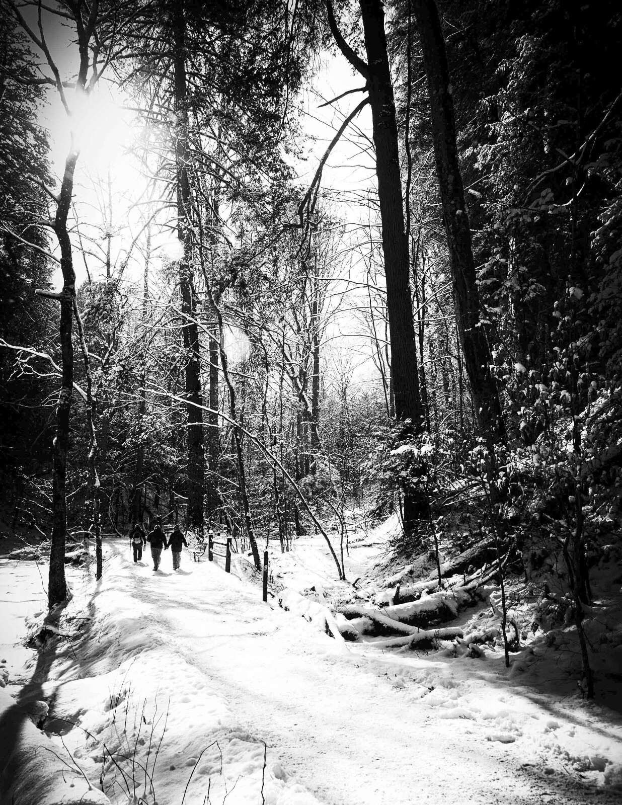 LANDSCAPE 8.5×11 or 13X19 B&W BORDERLESS GLOSSY PRINT (FREE SHIPPING)