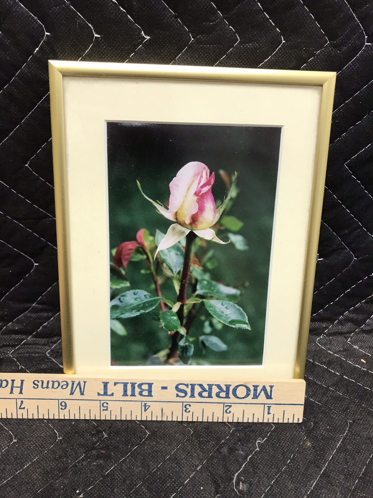 Framed & Matted Photograph “Peace Rose After The Rain” Switzer Custom Frame