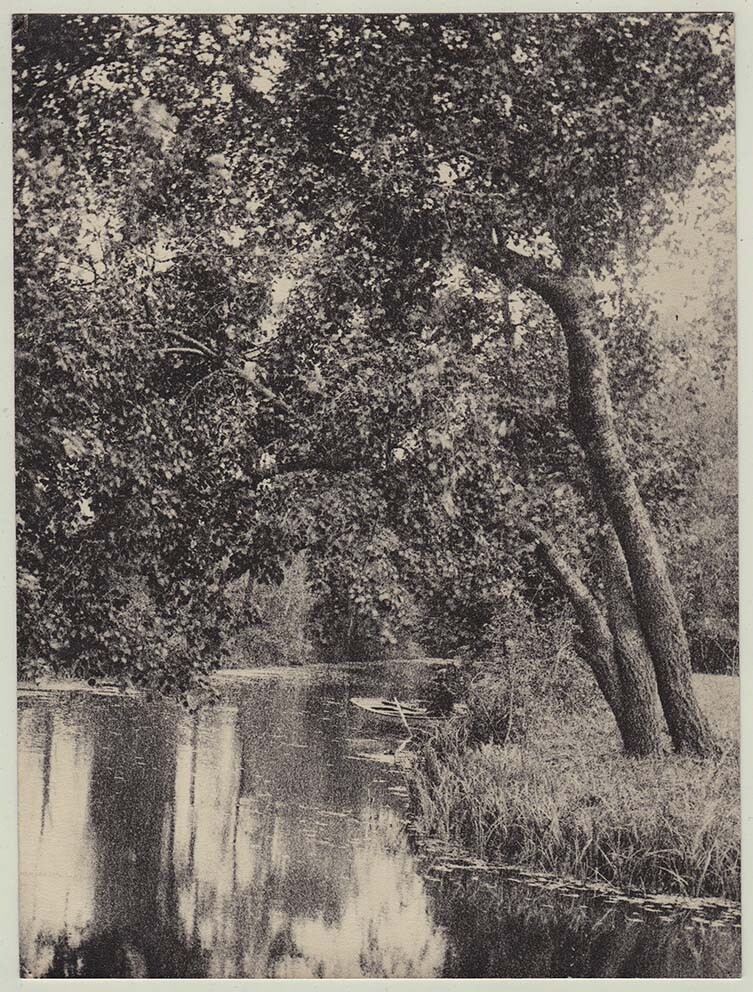 Orig. 1930s pictorialist moat, tree study, by French photographer