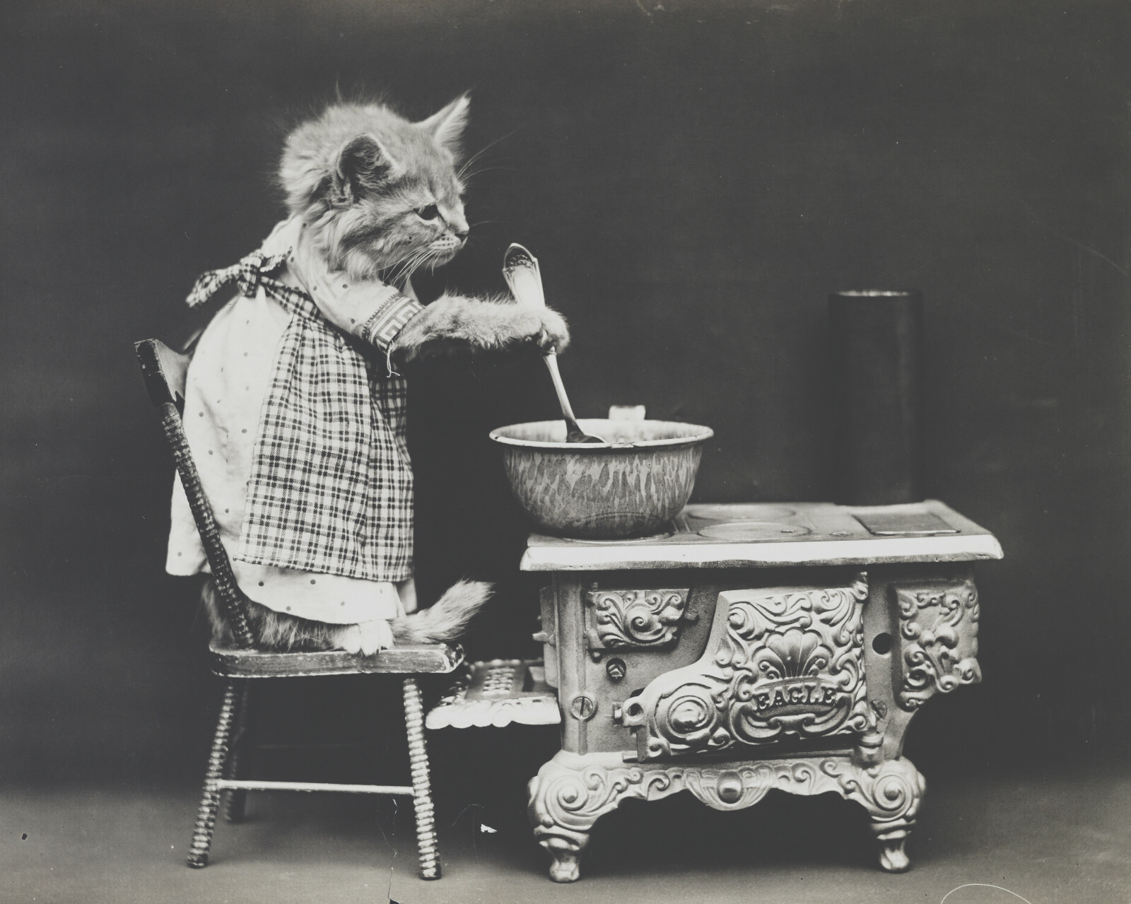 cat kitten kitty art print Harry Whittier Frees 8×10 vintage photo picture #6