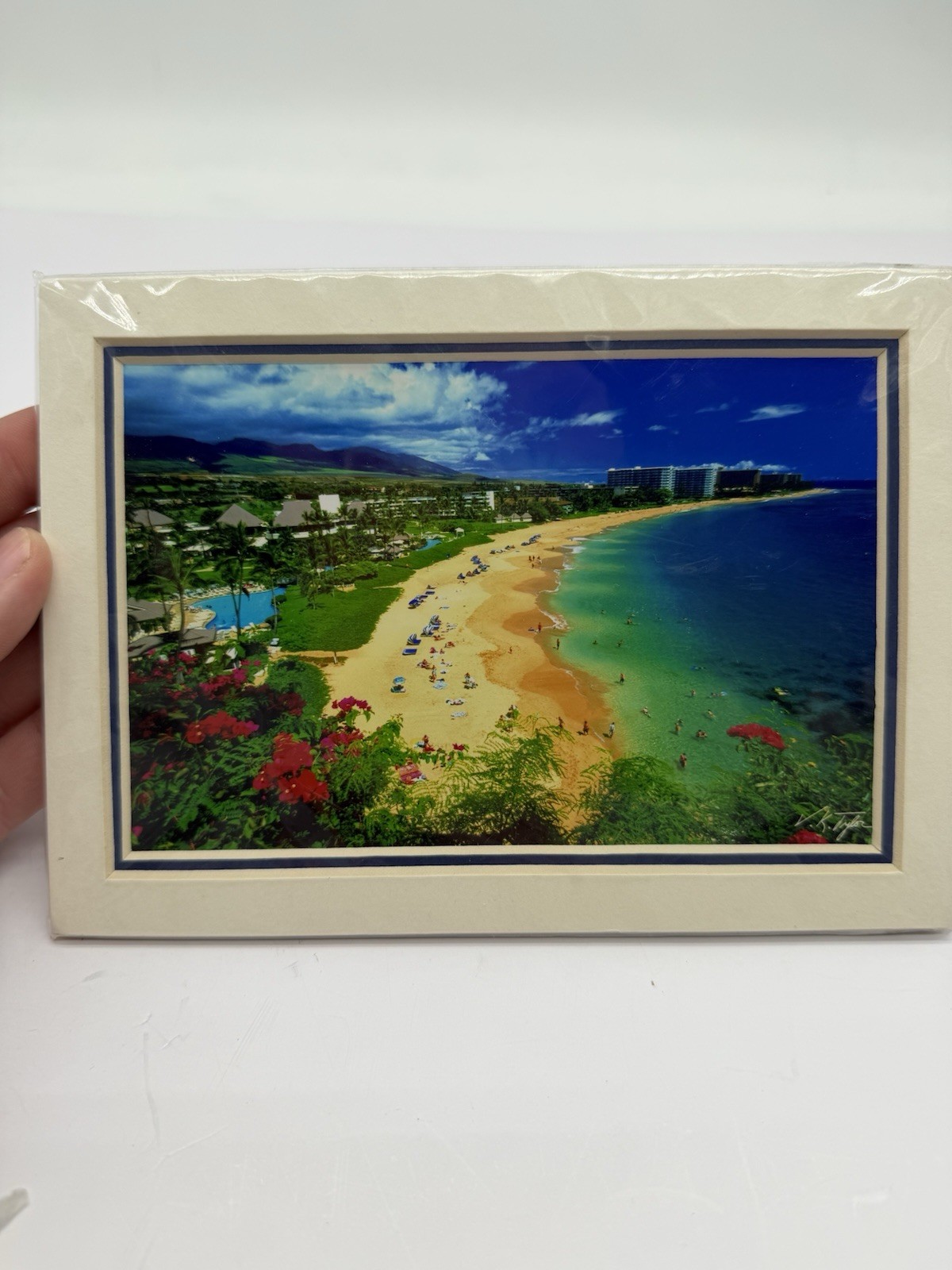 vincent tylor hawaiian photo 5×7 NICE