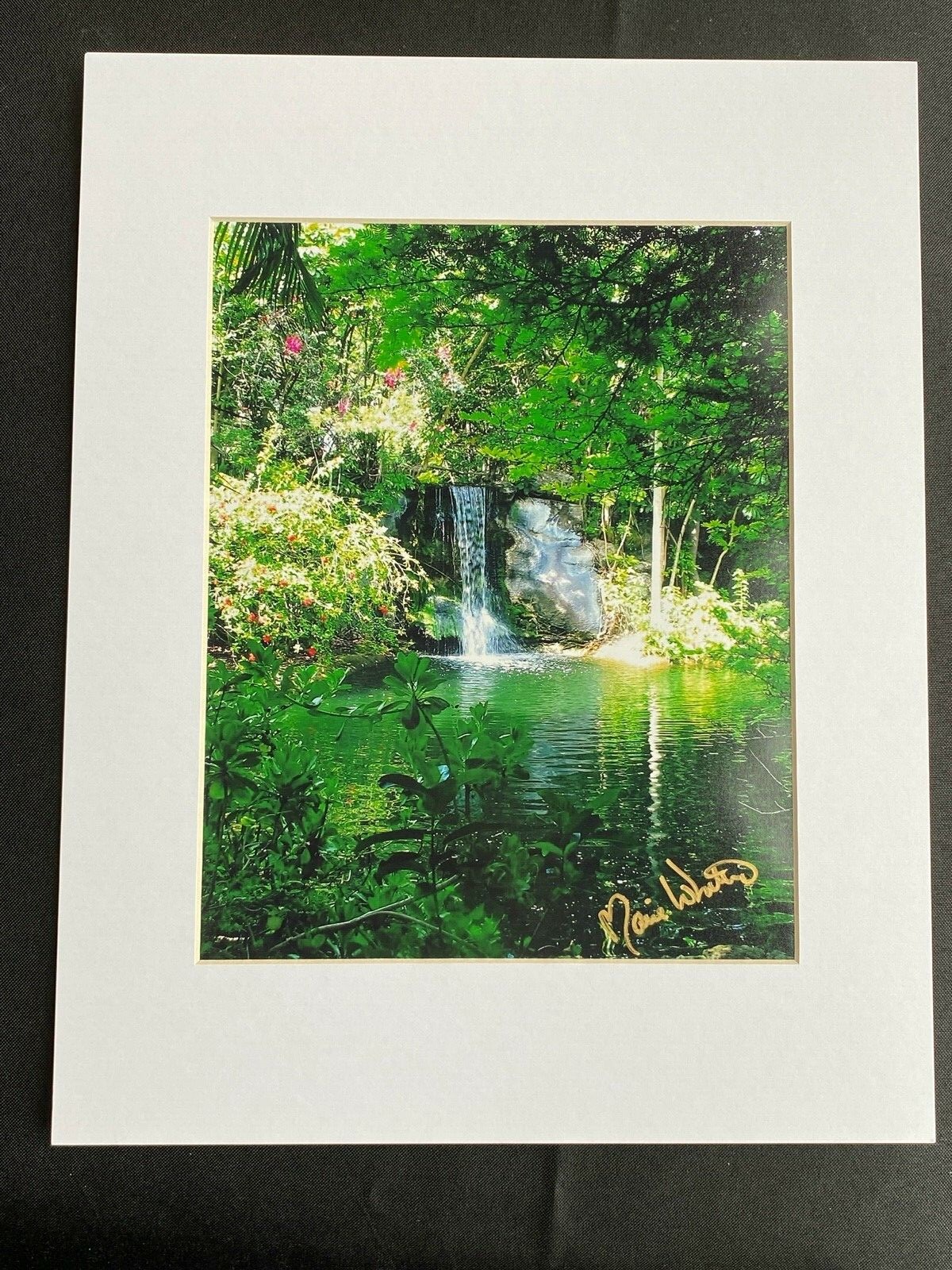 11 X 14 Photo in matte – signed by photographer Marie Whitton- BAHAMAS