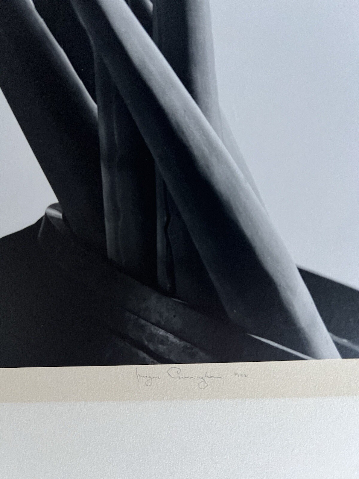 Imogen Cunningham(1883–1976) Agave Design I, 1920-1923, Gelatin Silver Print