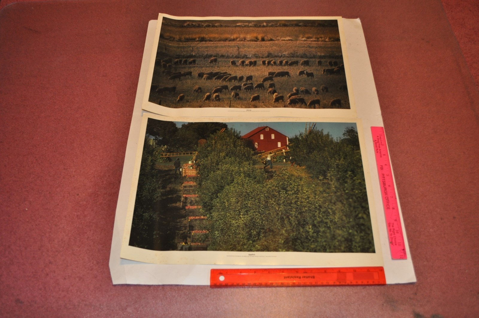 The Search for Food — Portfolio of 16 color photographs for Heinz | Jay Maisel