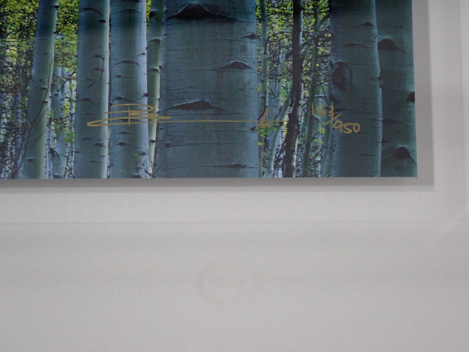 Peter Lik “Endless Birches” Birch Trees Photograph 163/950