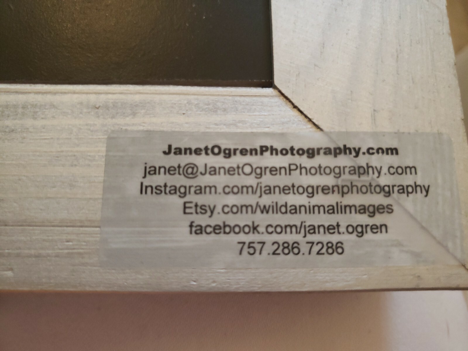 Janet OGREN signed Photography? dolphin ocean, 7×5″, wood frame 10×8 “, as is