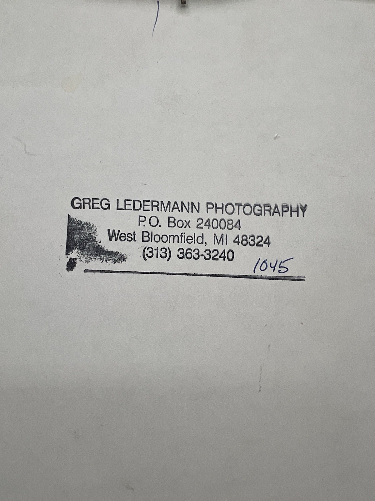 Chickadee On A Branch Original Photography Wooden Framed Signed Greg Ledermann