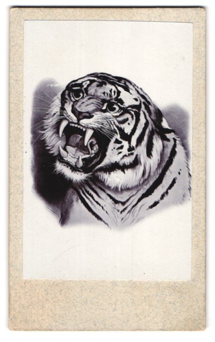Photography Painting: Tiger with Rice Teeth