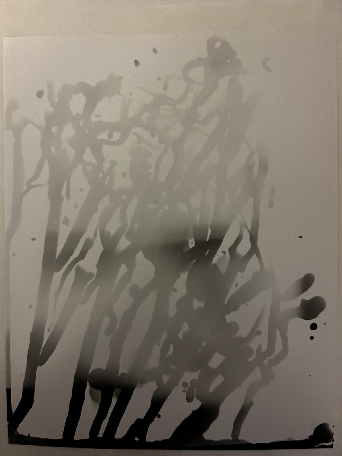 Untitled Photogram (3) Circa 2018
