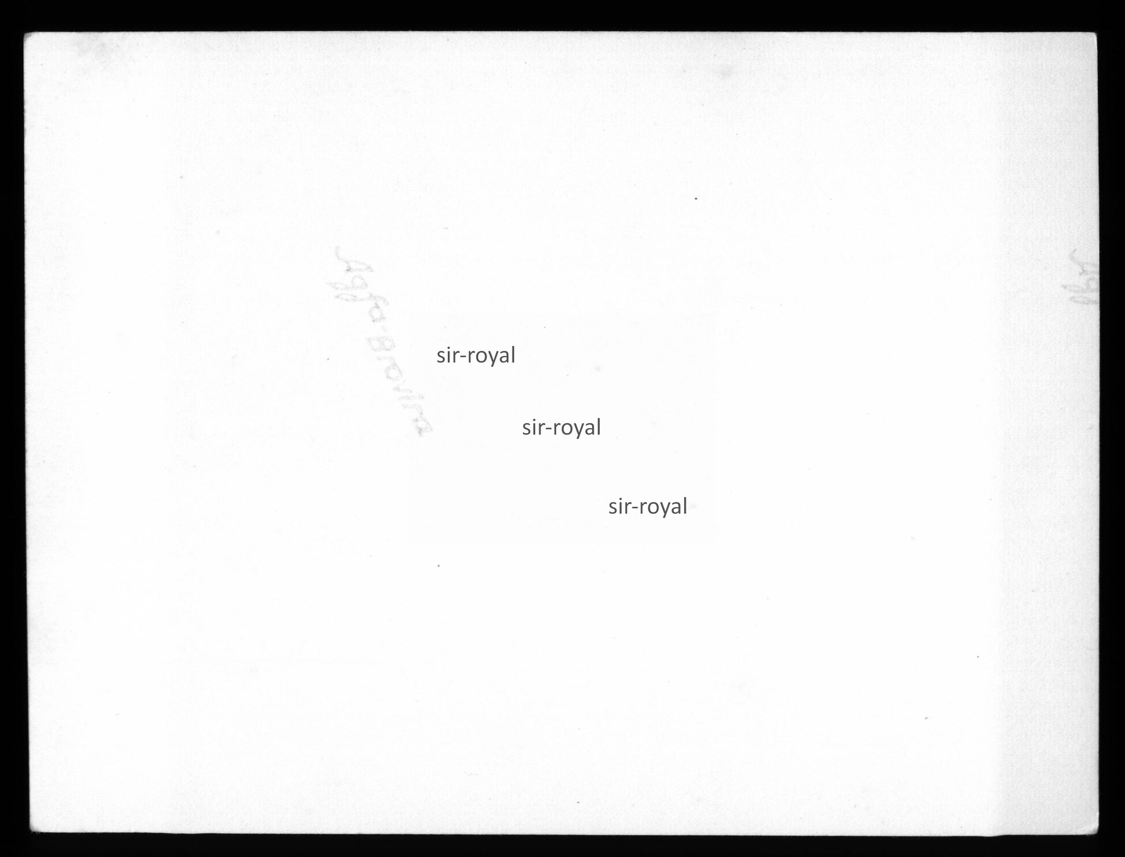 Corgi Hund vor Geschäft in Norwegen – 1940er – Foto 12x9cm