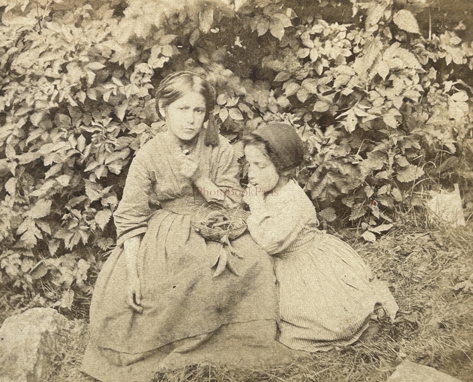 Scene Genus Deux Little Girl Garden c1870 Photo Stereo Vintage Album