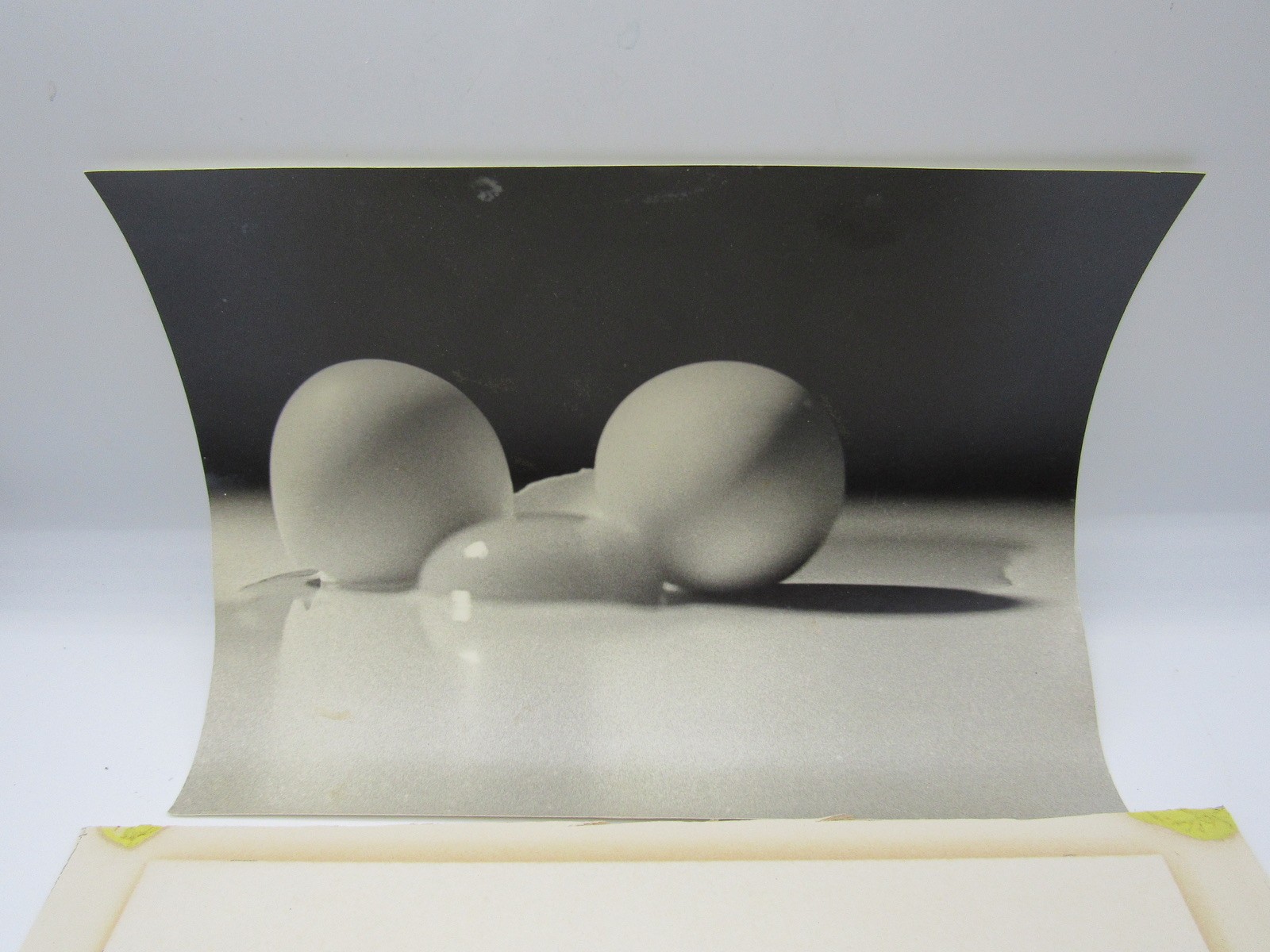 Signed David William Ginsburg photograph 2 Eggs 1 Yolk b&w food photo scientific