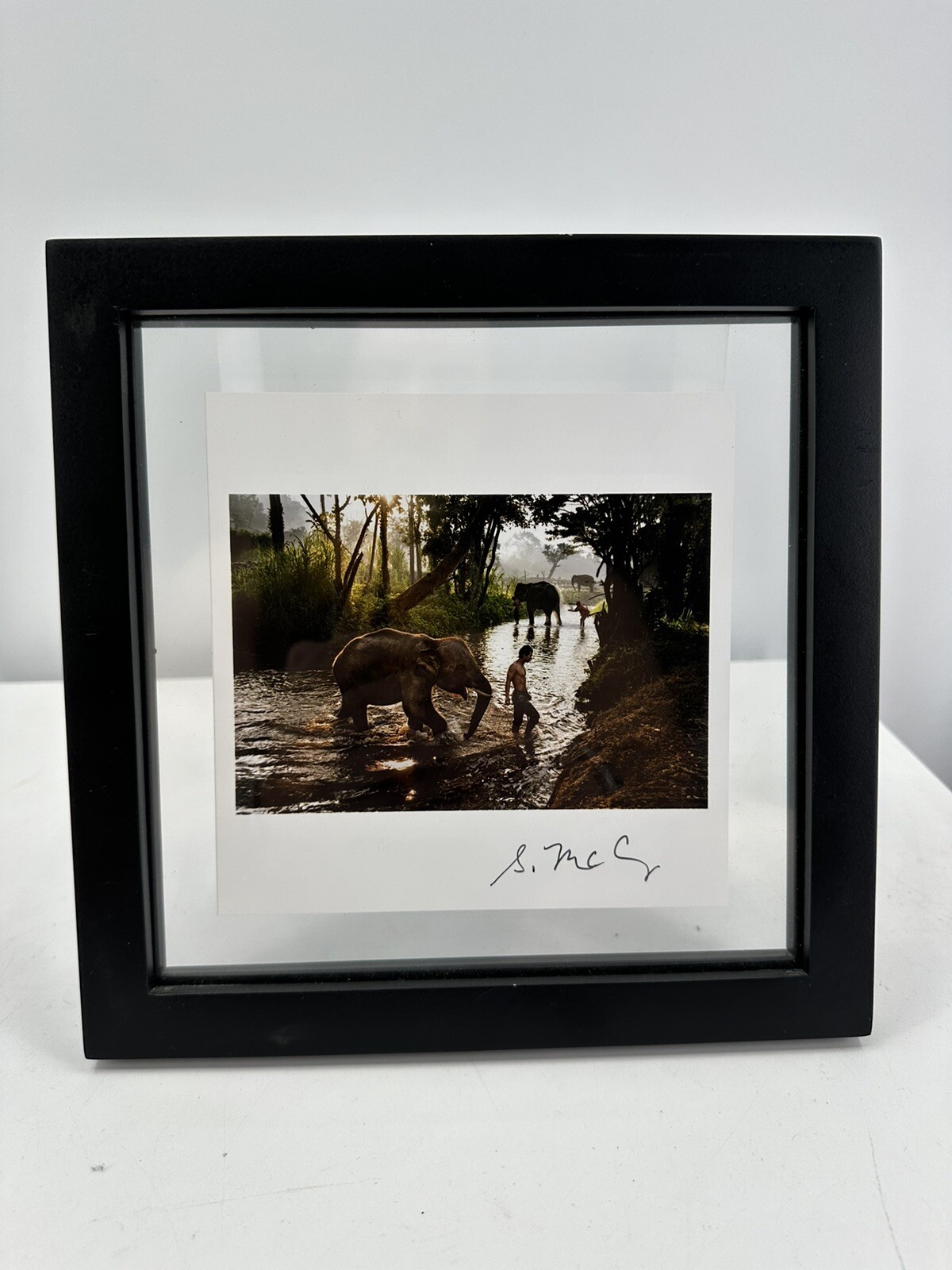 SIGNED – STEVE MCCURRY ELEPHANTS IN THAILAND LTD 6 x 6″ MAGNUM PRINT