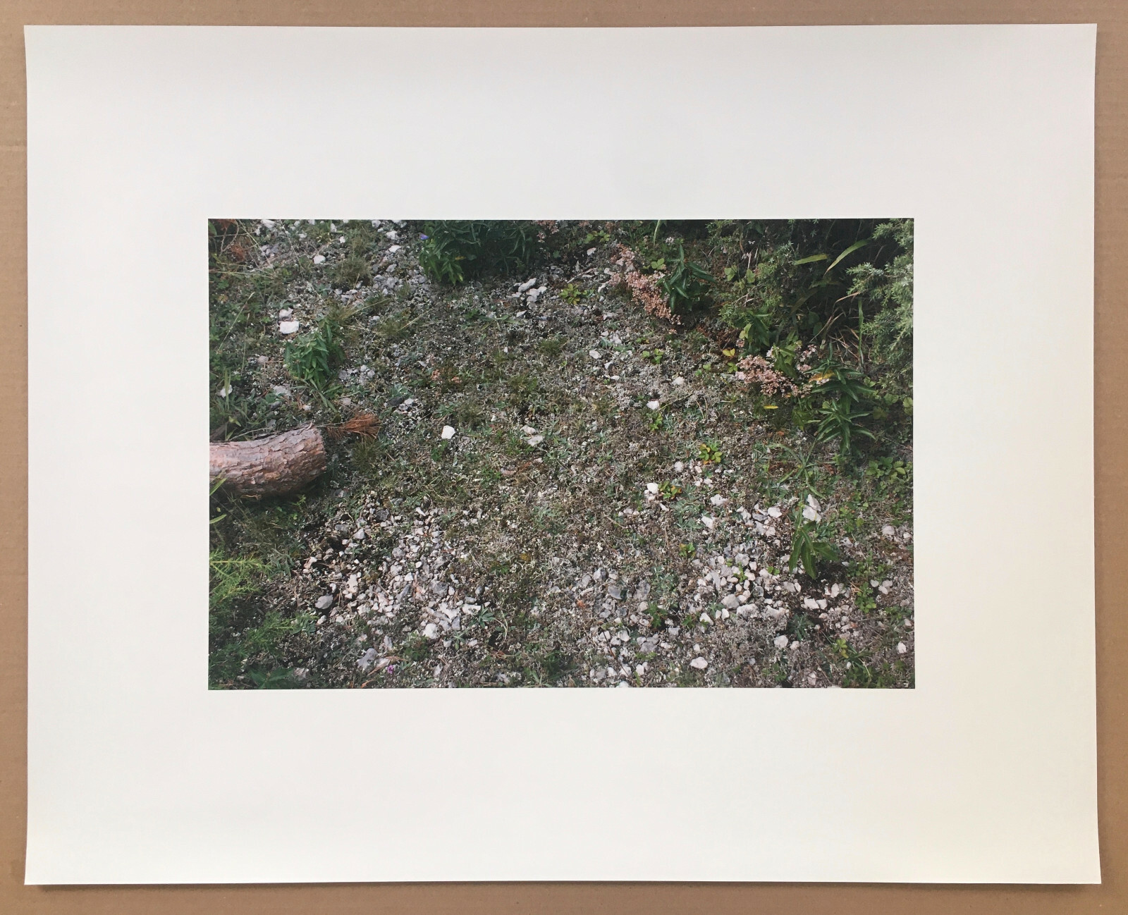 STEPHEN SHORE s/n photograph (2009) ed of 40 – Two x Two Portfolio amfAR