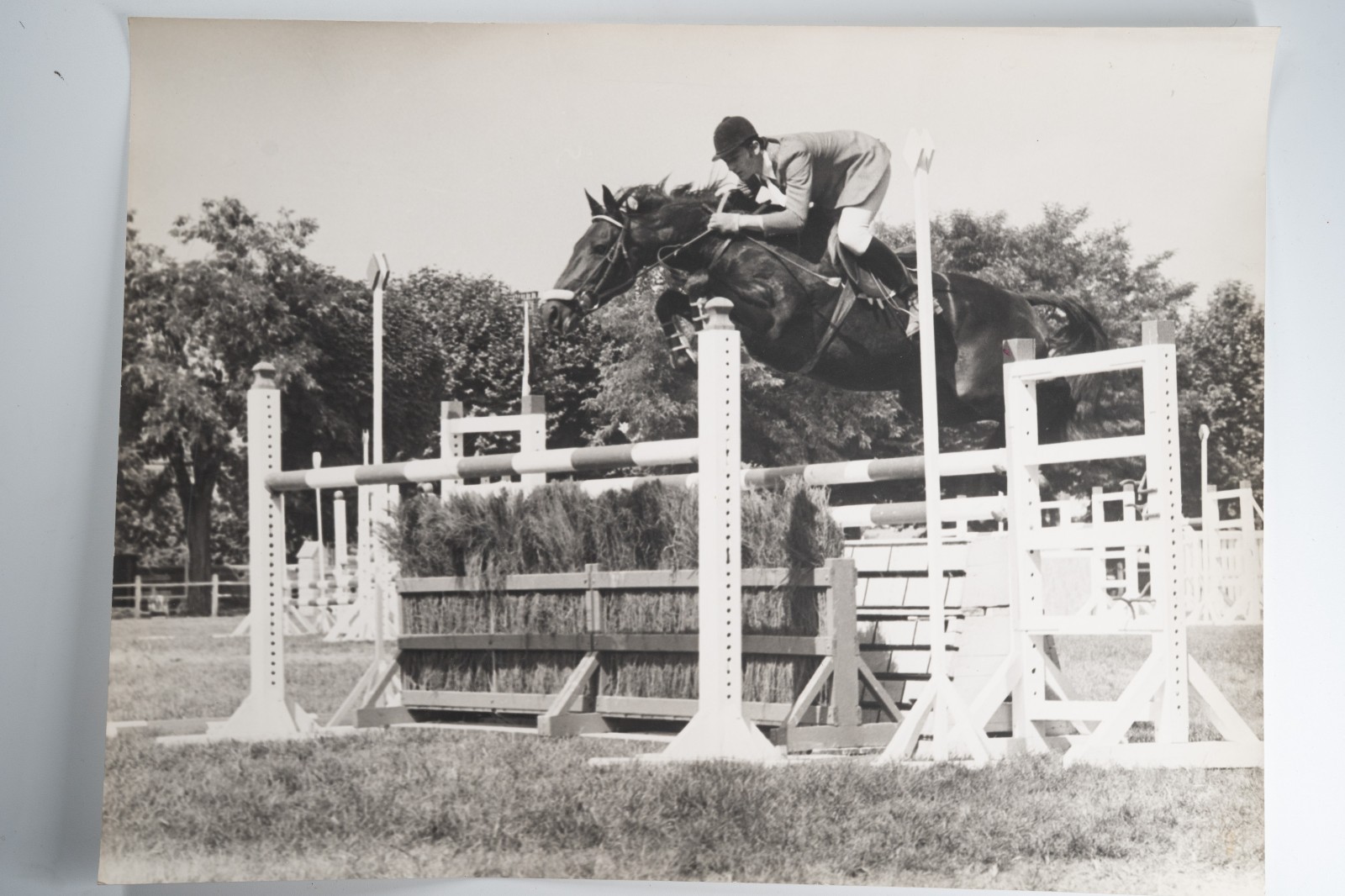 Film Photo France Equestrian Horse Show Jumping 1970 30X40CM