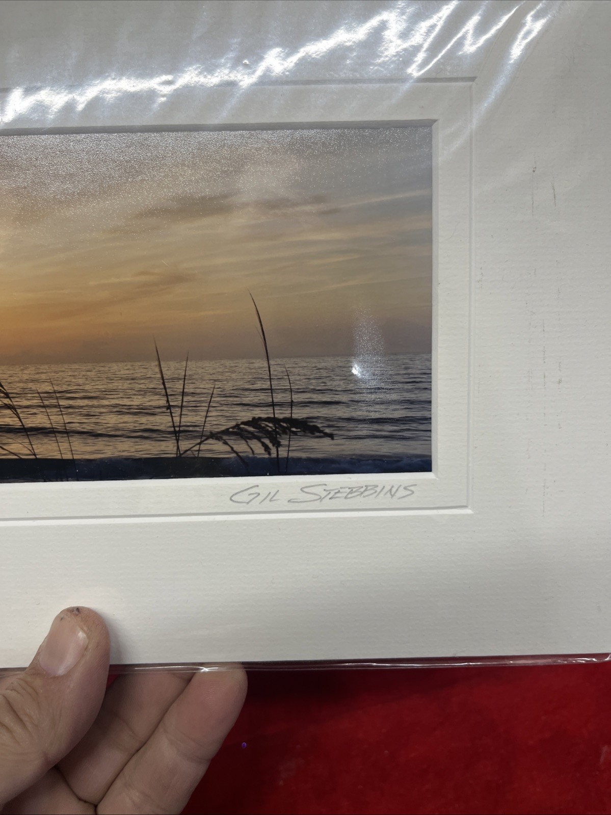 GIL STEBBINS “EASTERN SUNRISE” PANORAMIC PHOTOGRAPH 20 x 8 inches